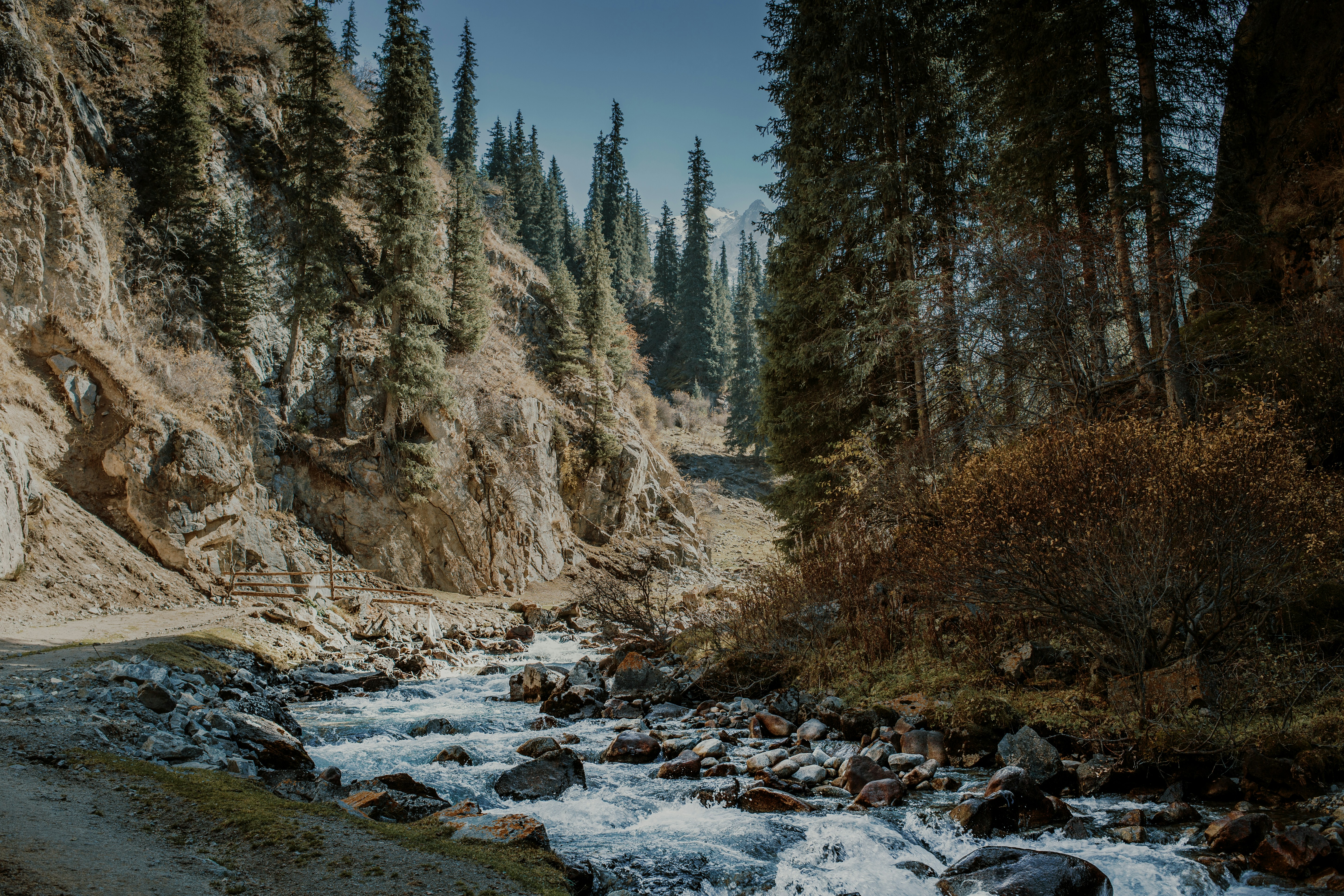 a river running through a forest, Kyrgyz Nature