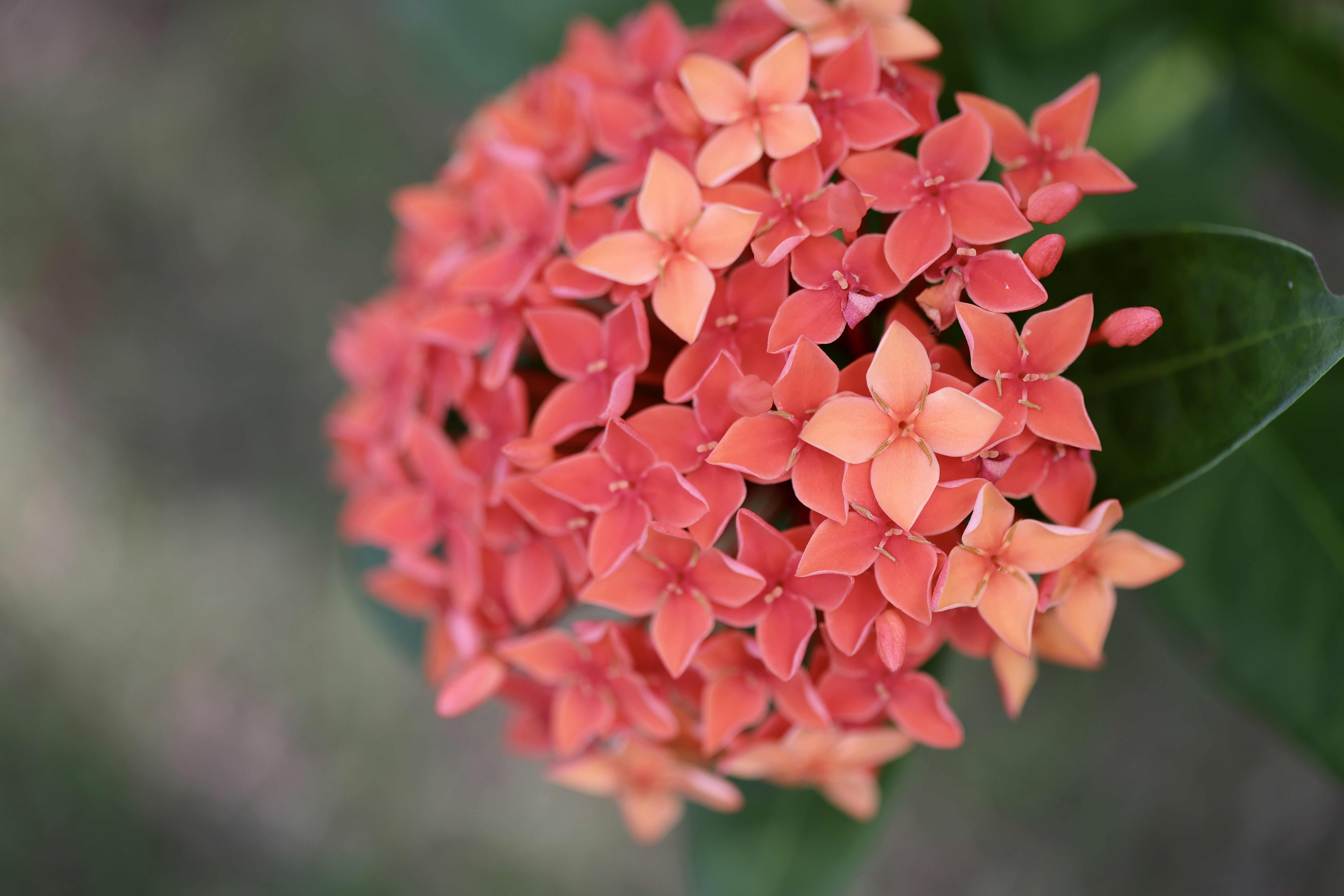 Photo by dickenslin76