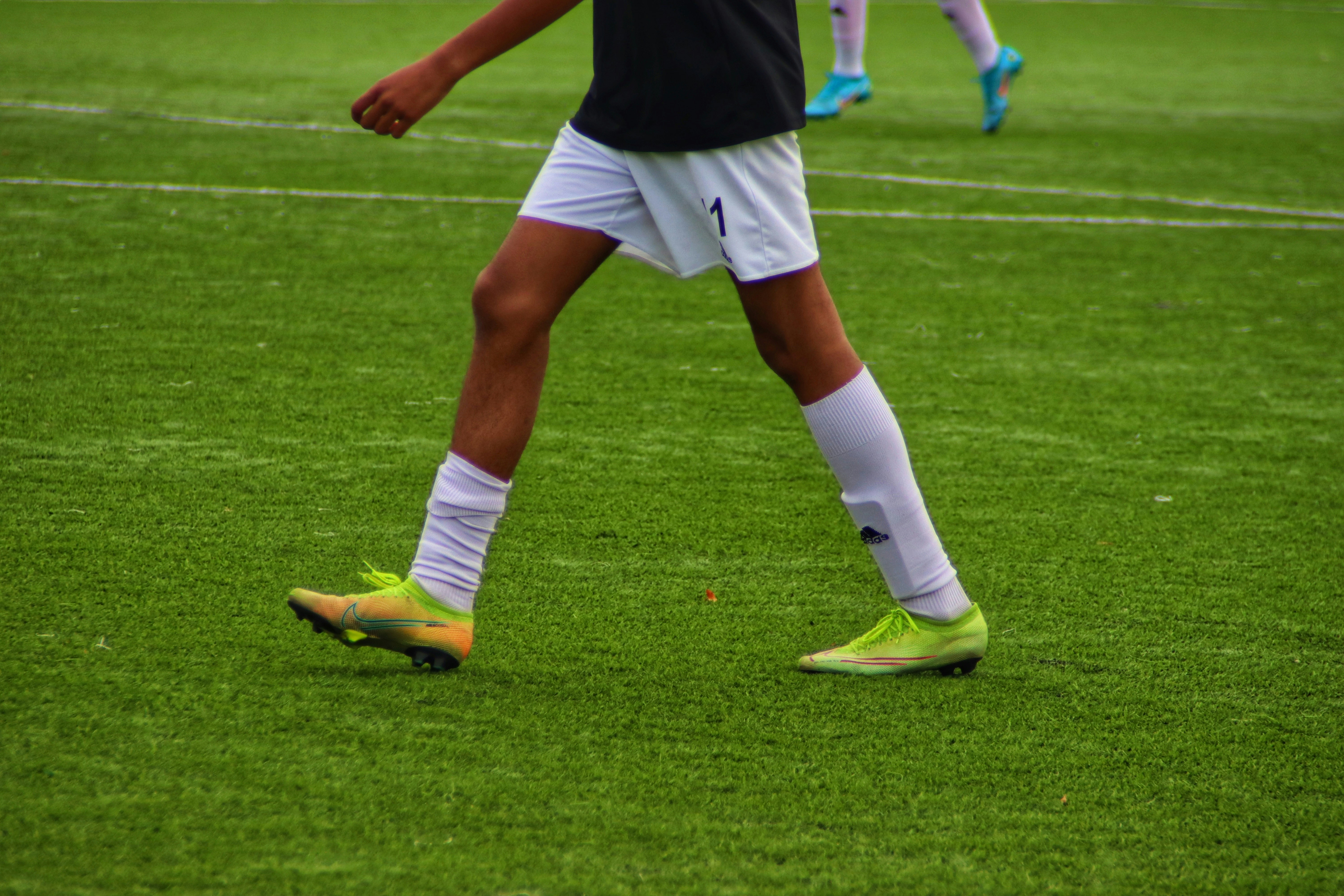 体育场景配图（资料示意）