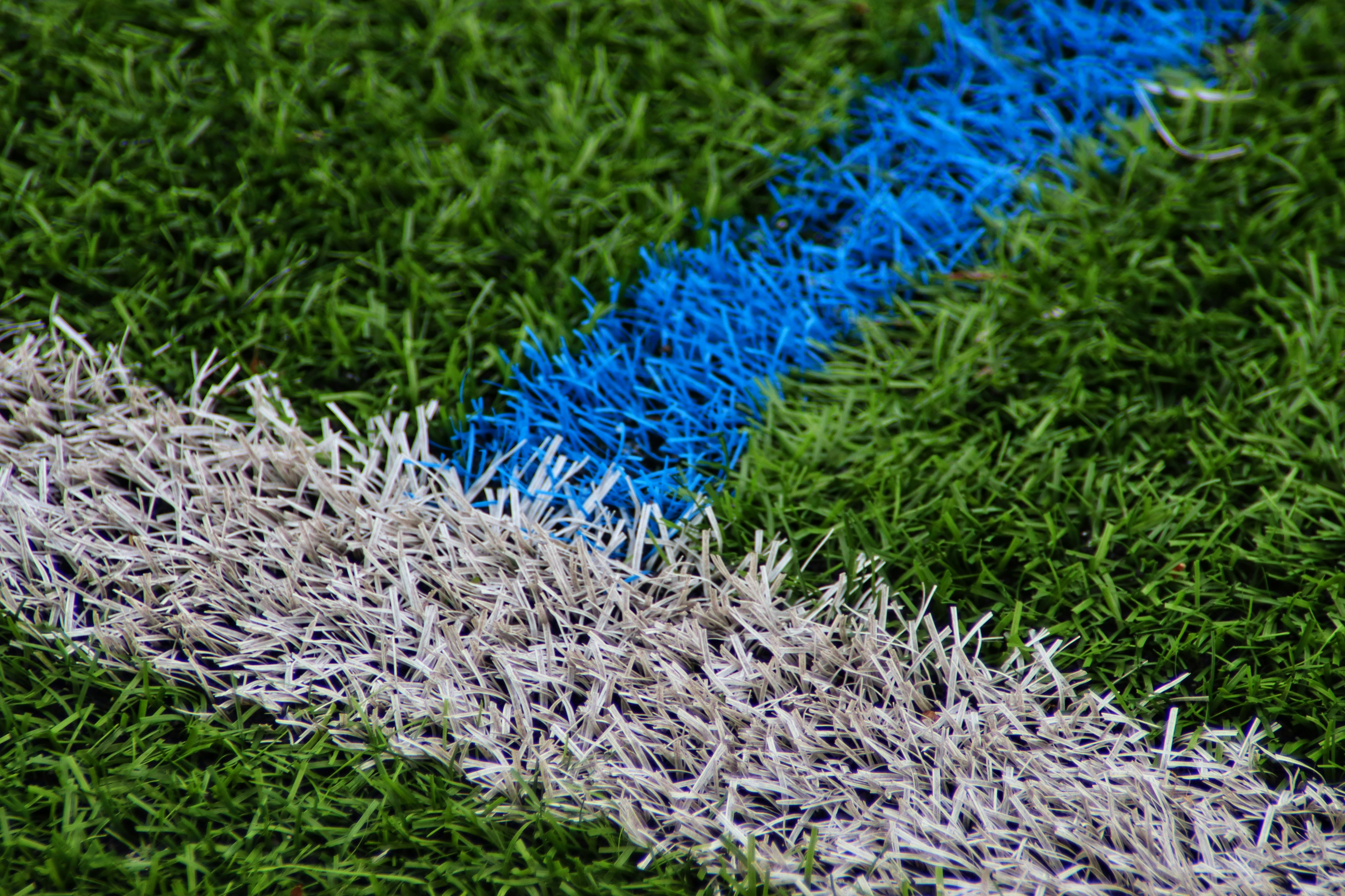 Photo by augustinfoto