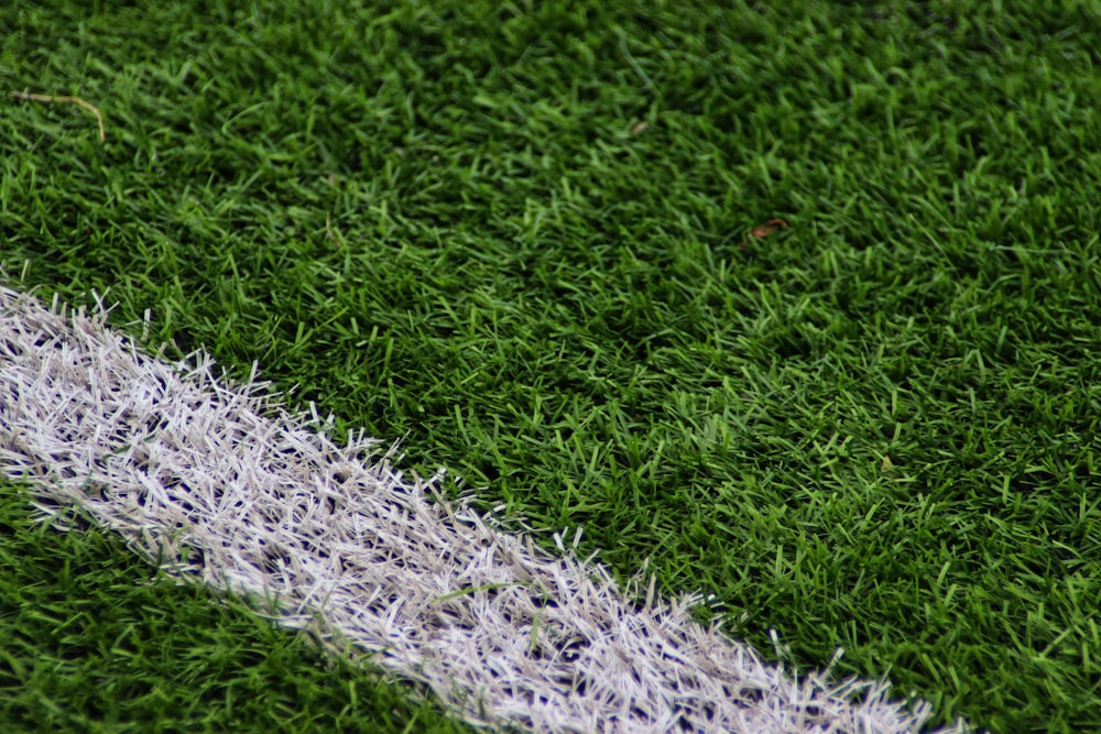 a close-up of a grass field