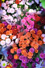 a group of colorful flowers