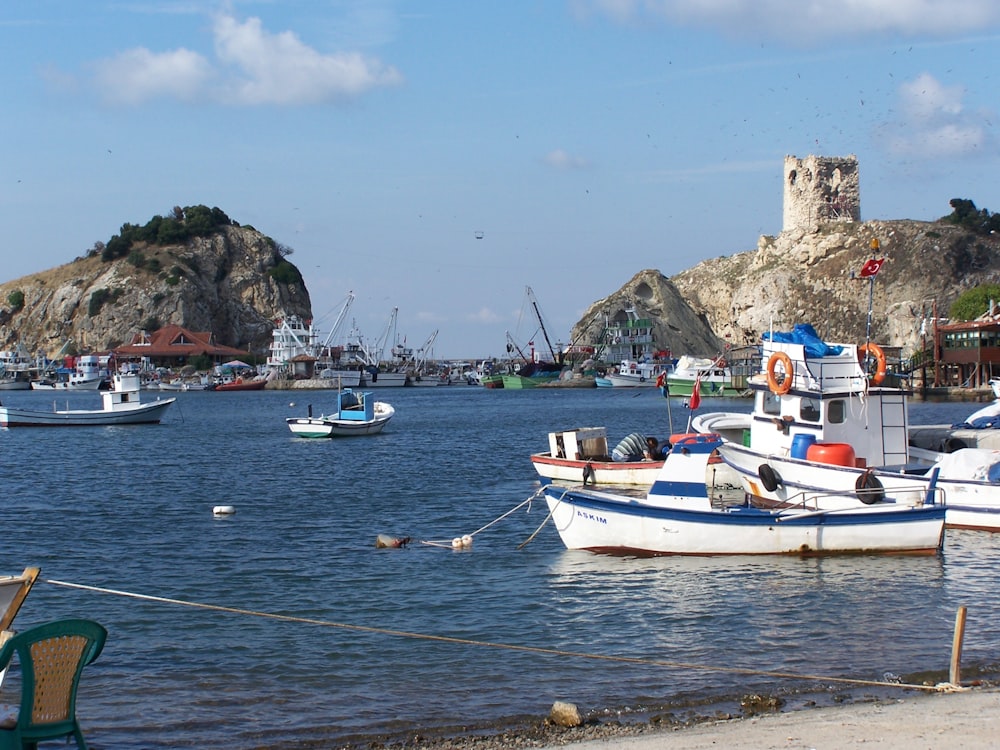 boats in the water