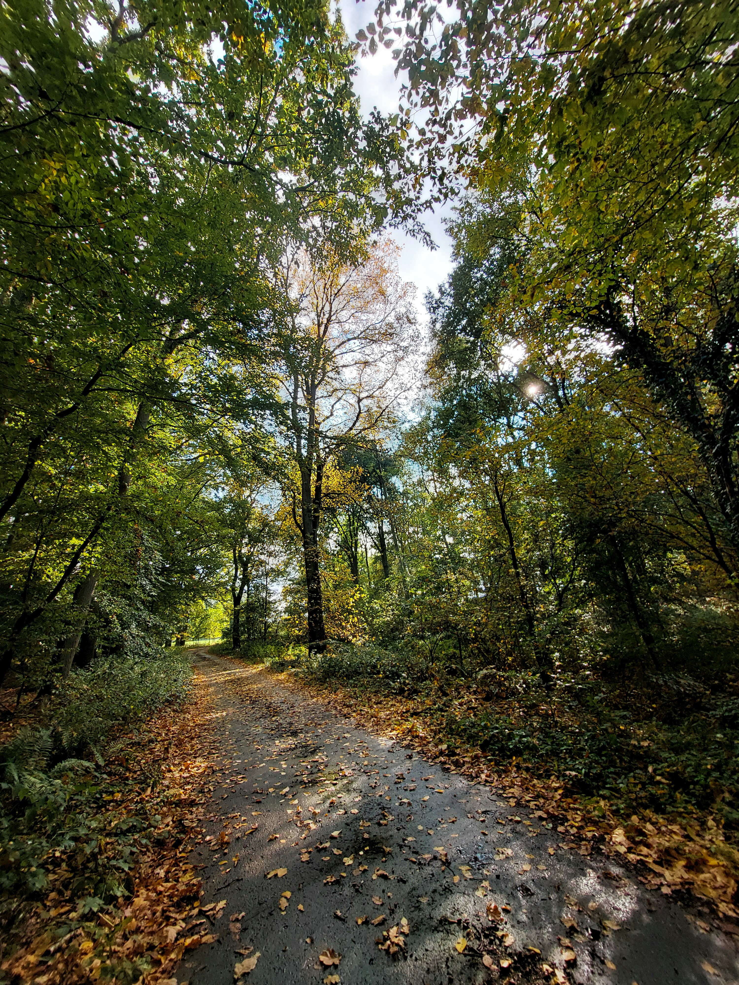 Photo by hannapisareve