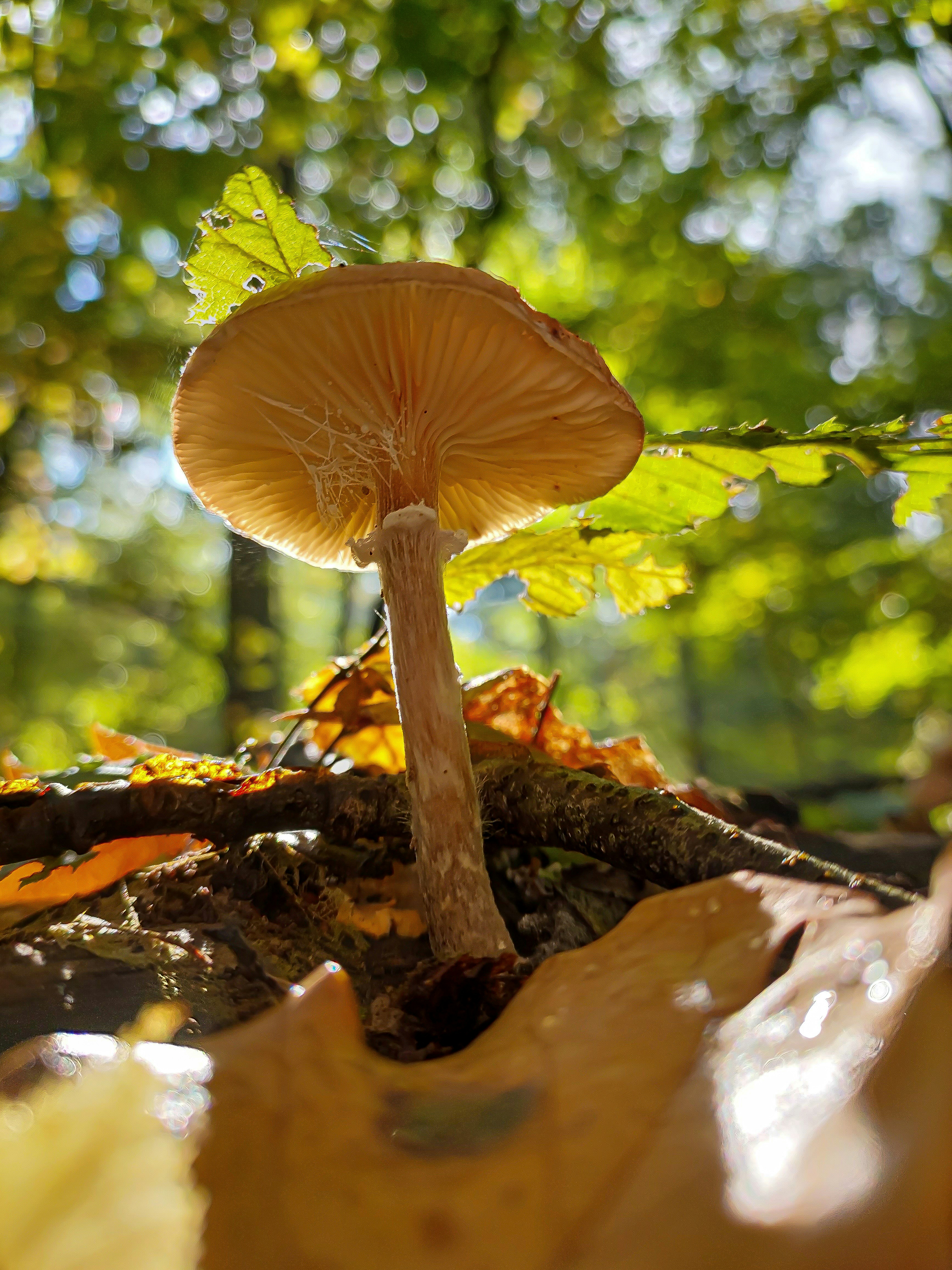 Photo by hannapisareve