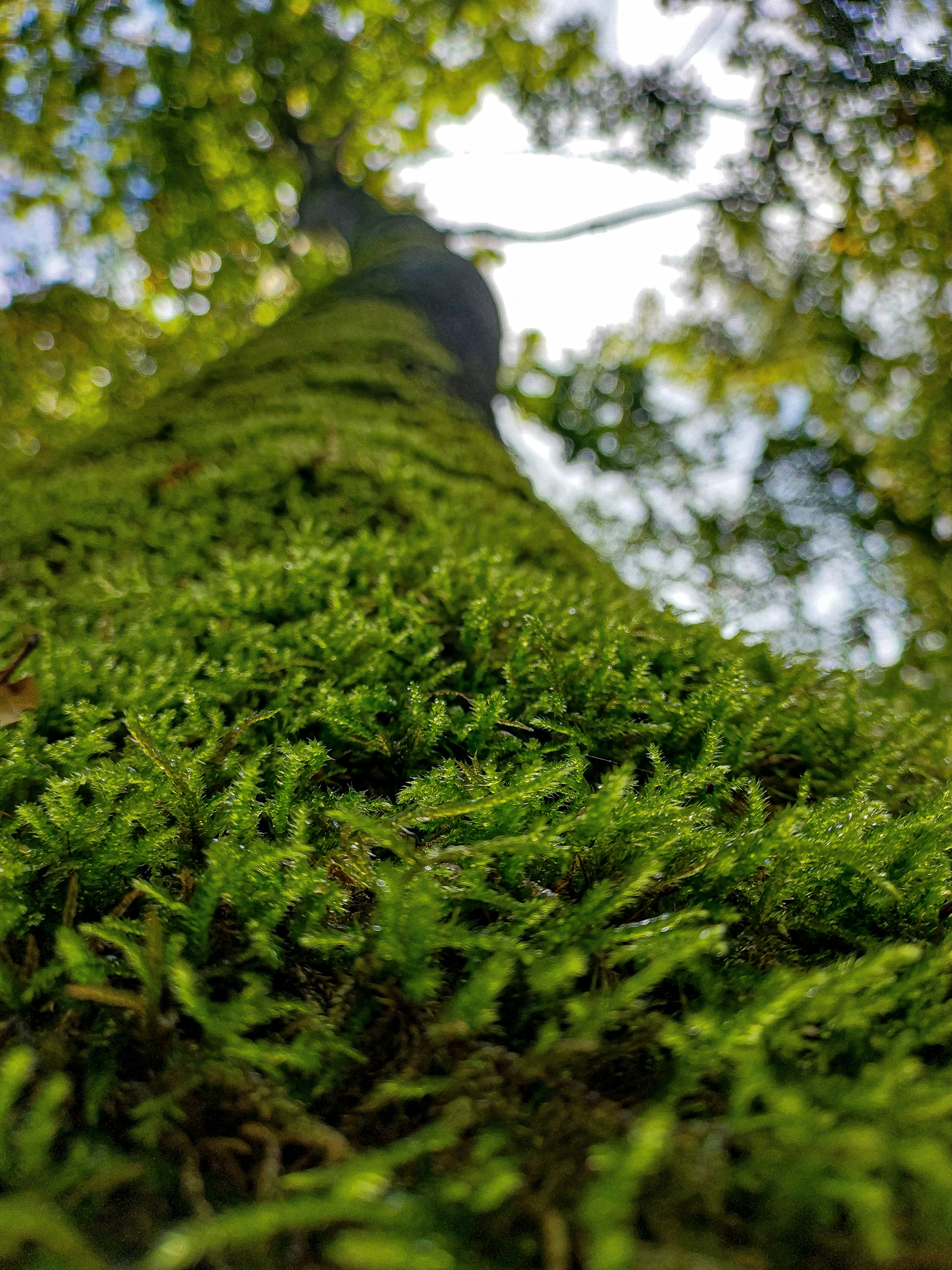 Photo by hannapisareve