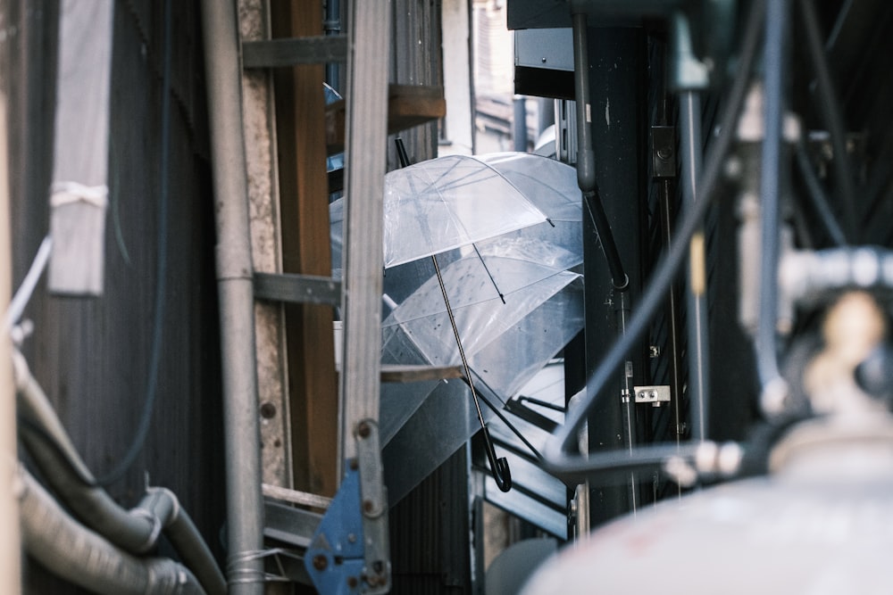 a person holding an umbrella