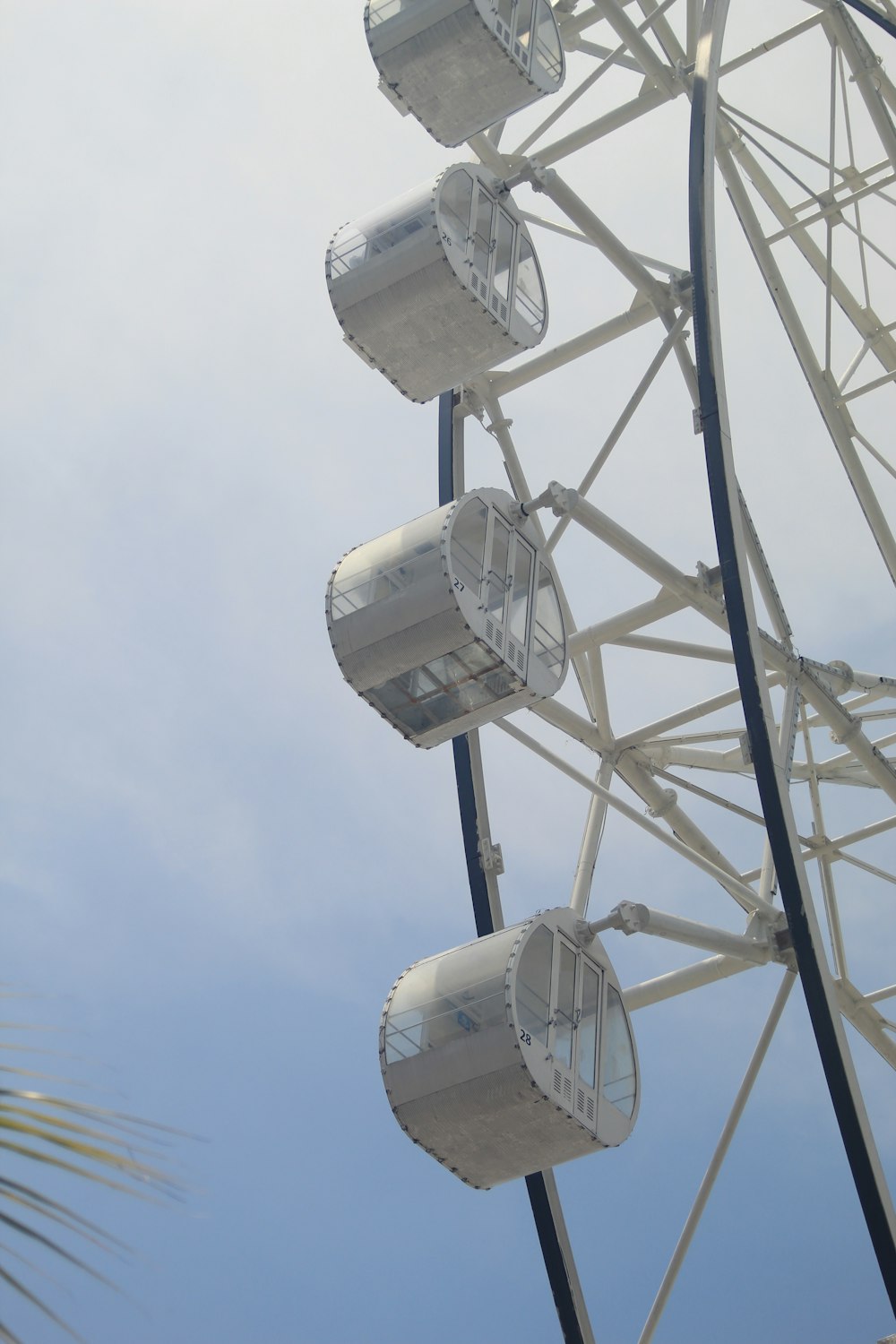 a white and blue ferris wheel