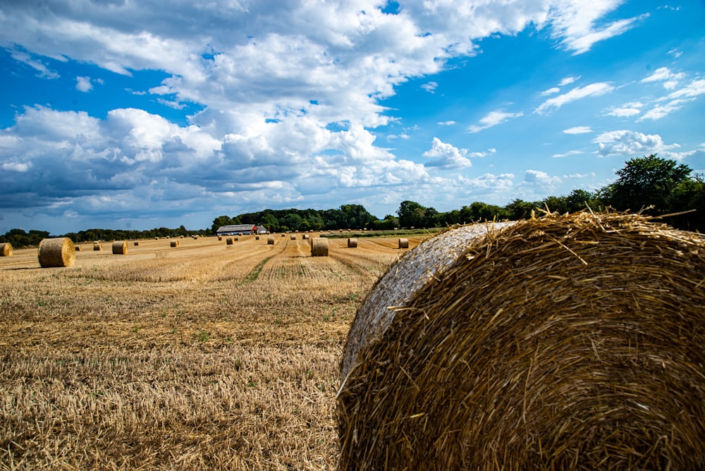a field of hay with a house in the background