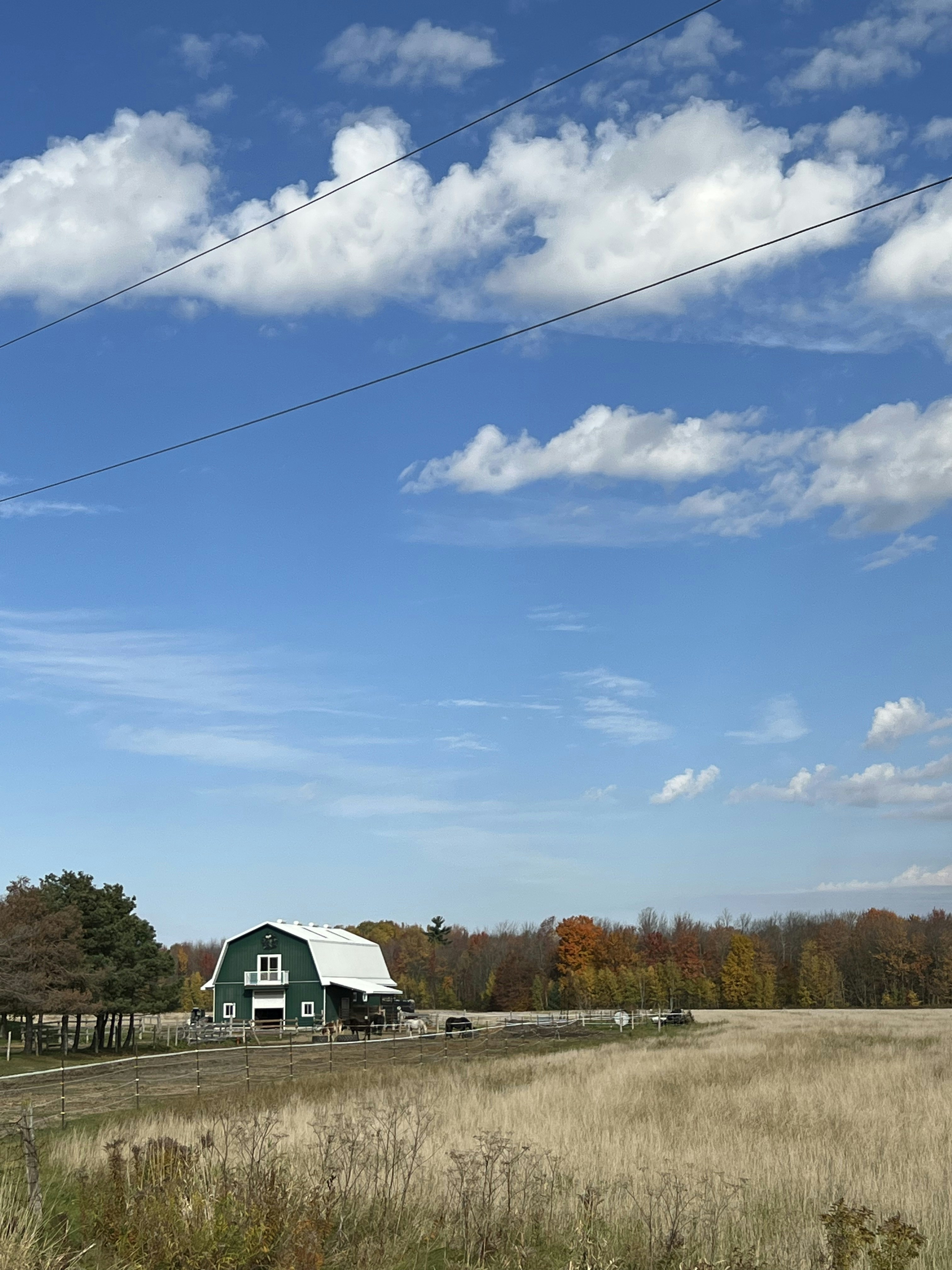 A barn in a field photo – Free Green barn Image on Unsplash
