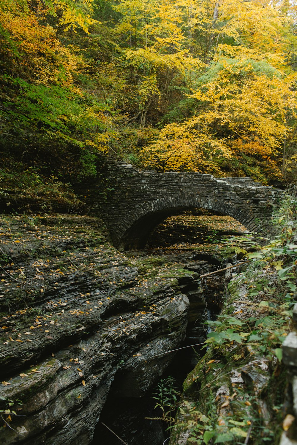 a stone bridge over a river