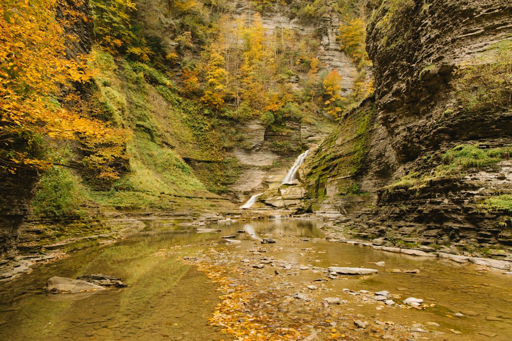 a river running through a rocky area