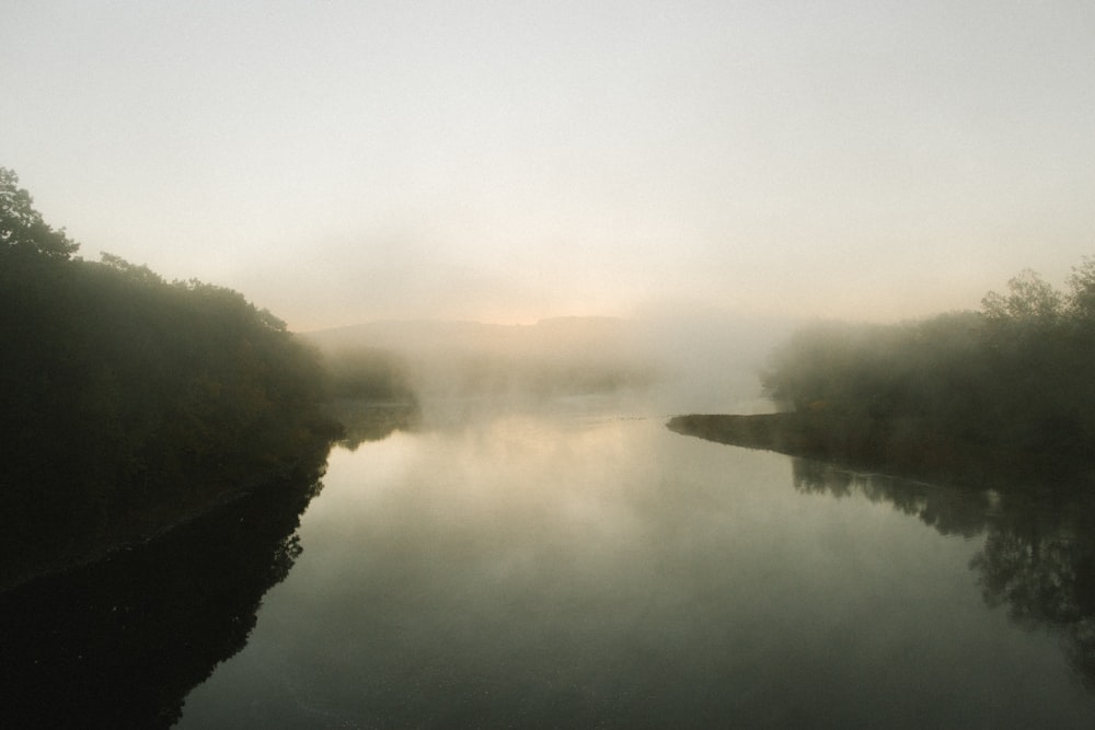 a foggy lake with trees