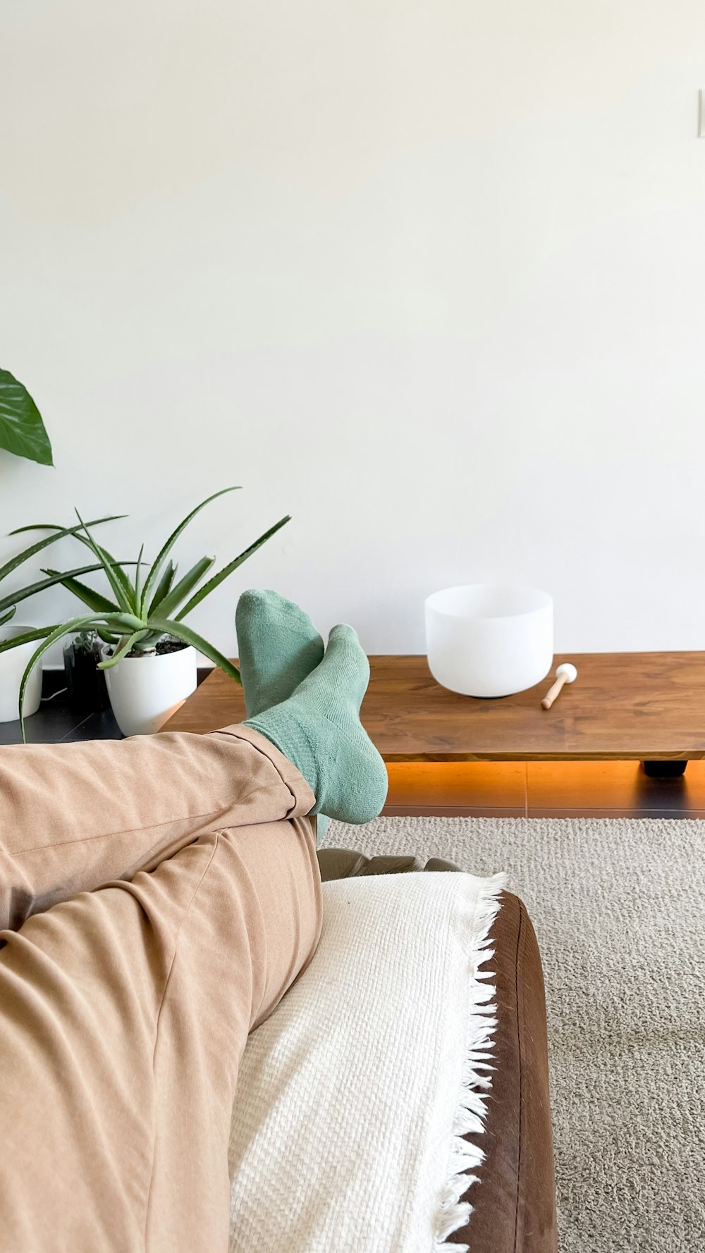 a couch with a tea cup and a plant on it
