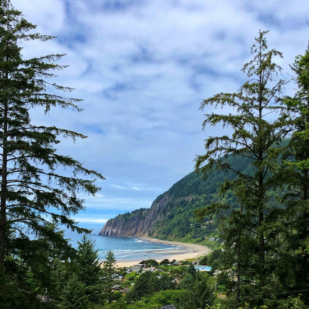 a body of water surrounded by trees