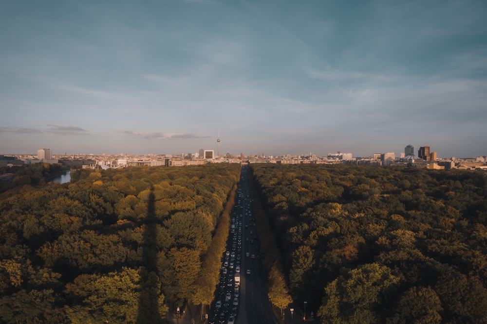 Eine Straße mit Bäumen und einer Stadt im Hintergrund