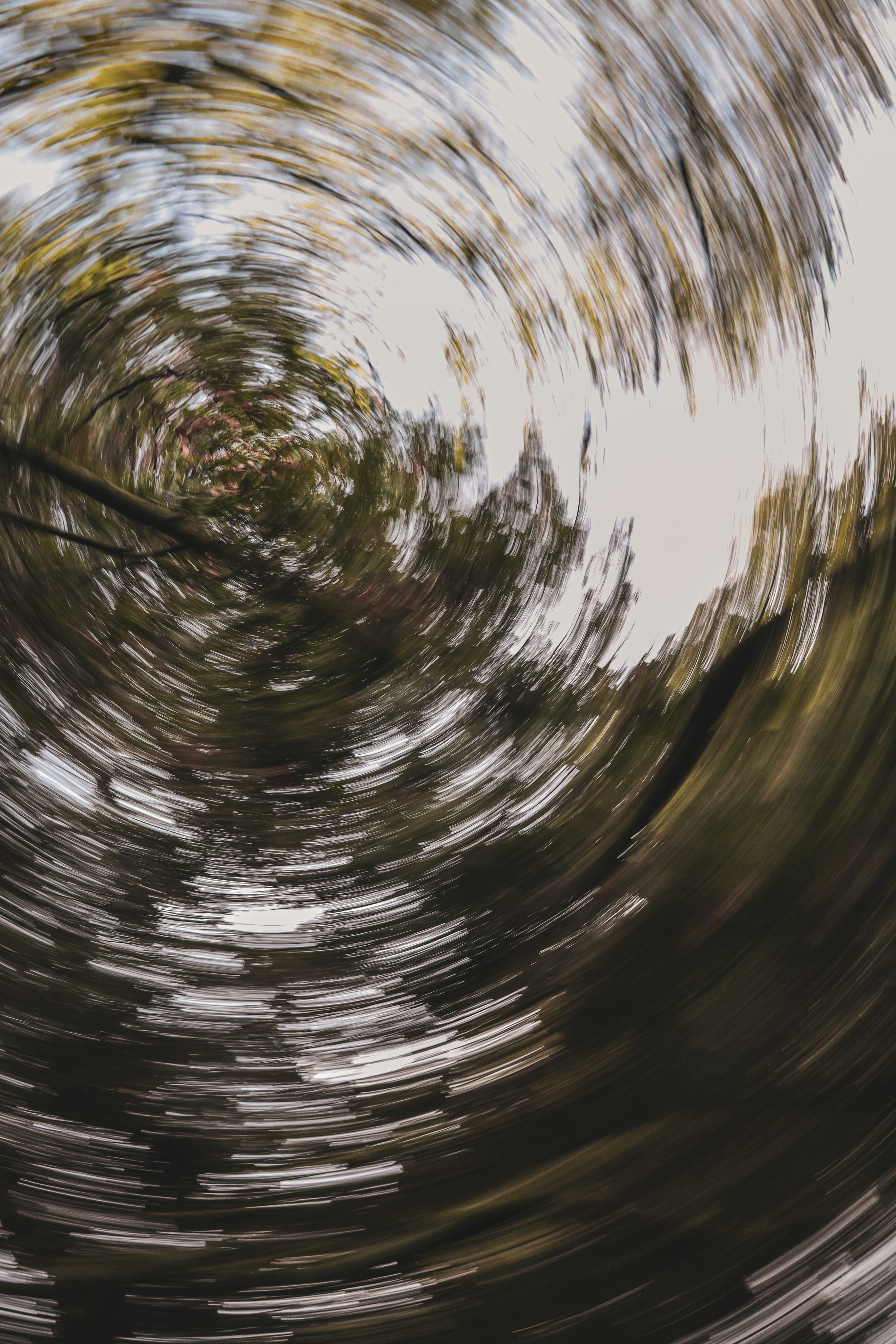 Photo by secondsight