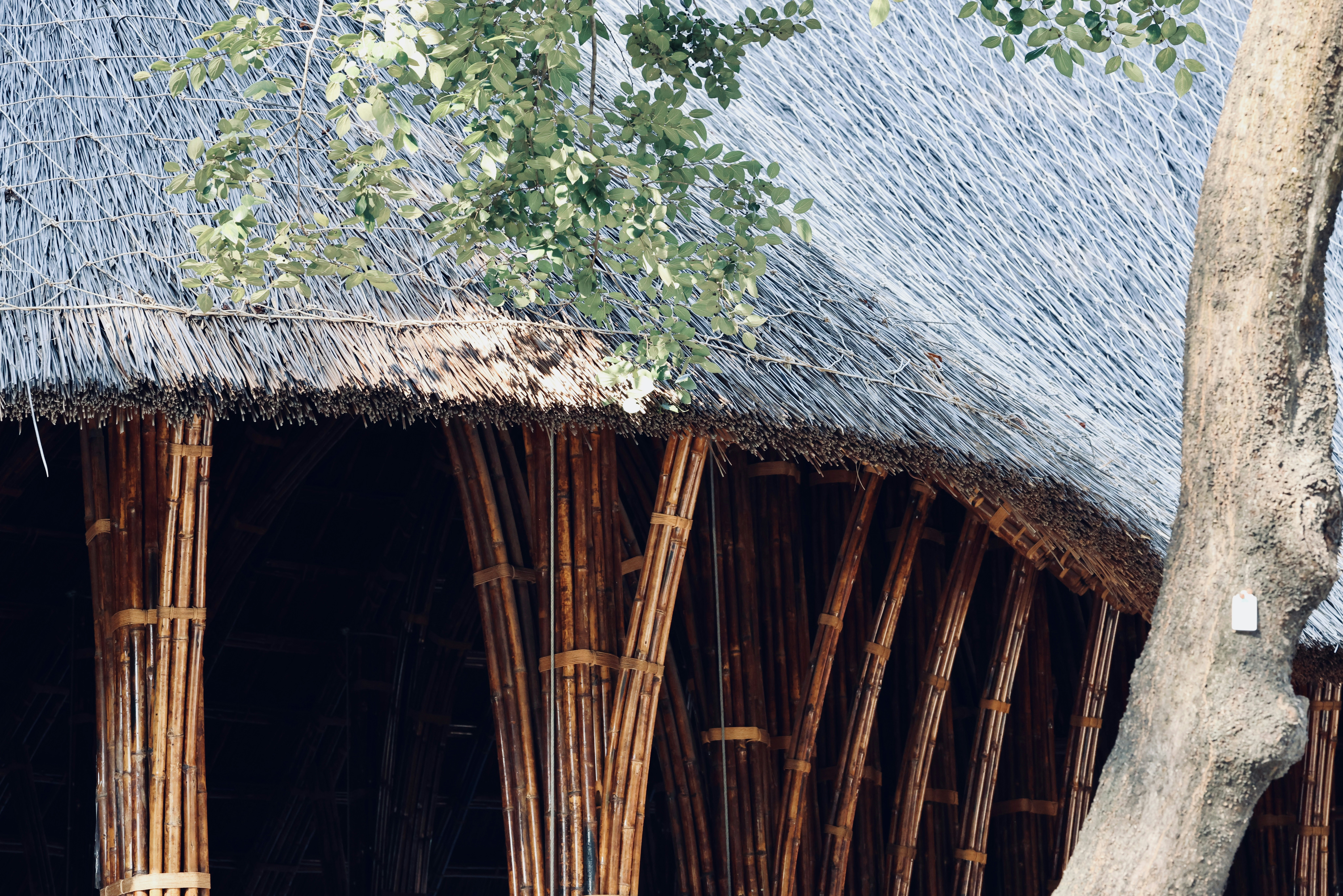 Photo by dickenslin76