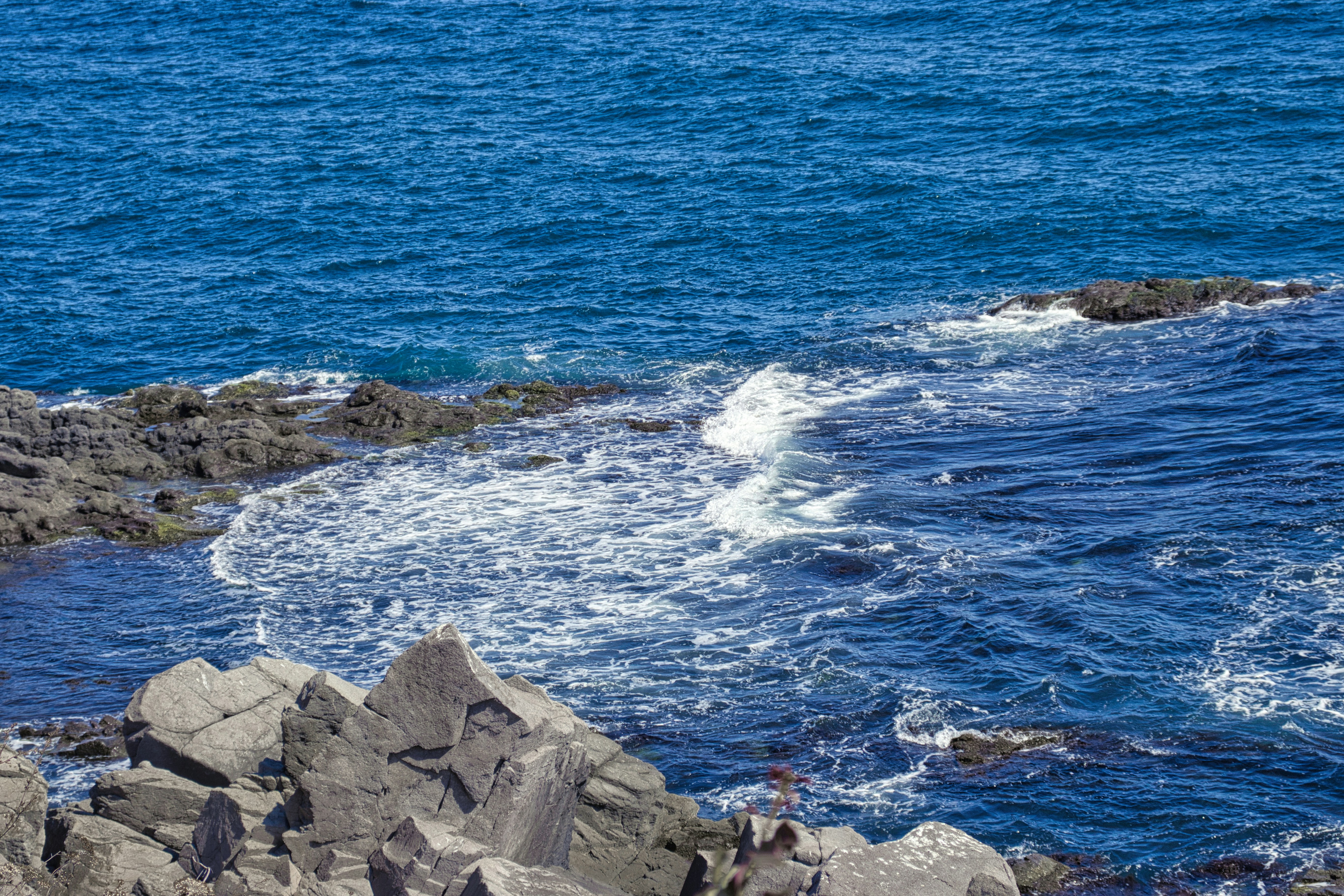 Photo by filipvelitchkov