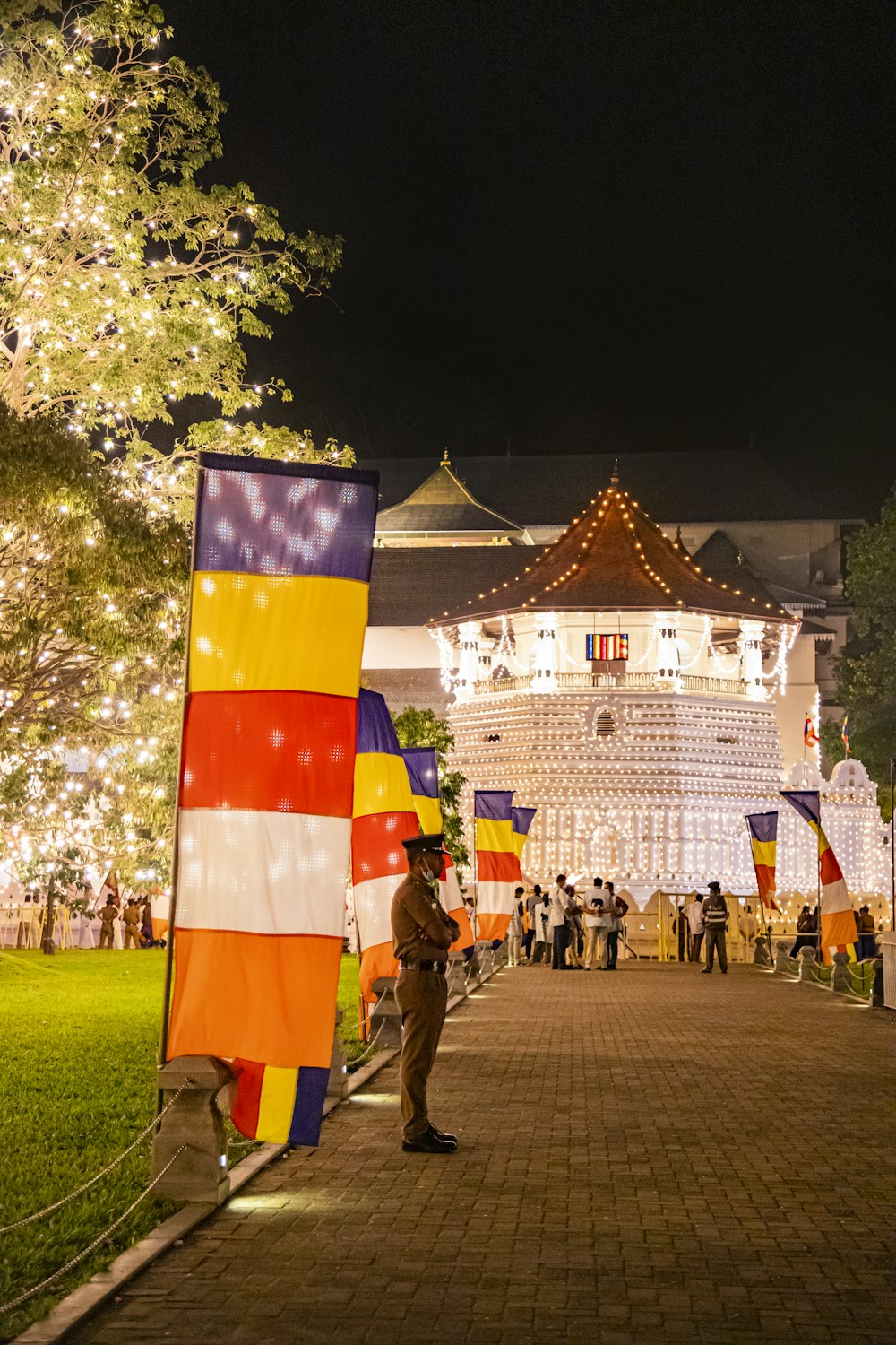 a person in uniform holding flags