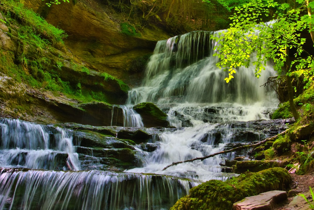 a waterfall in a forest