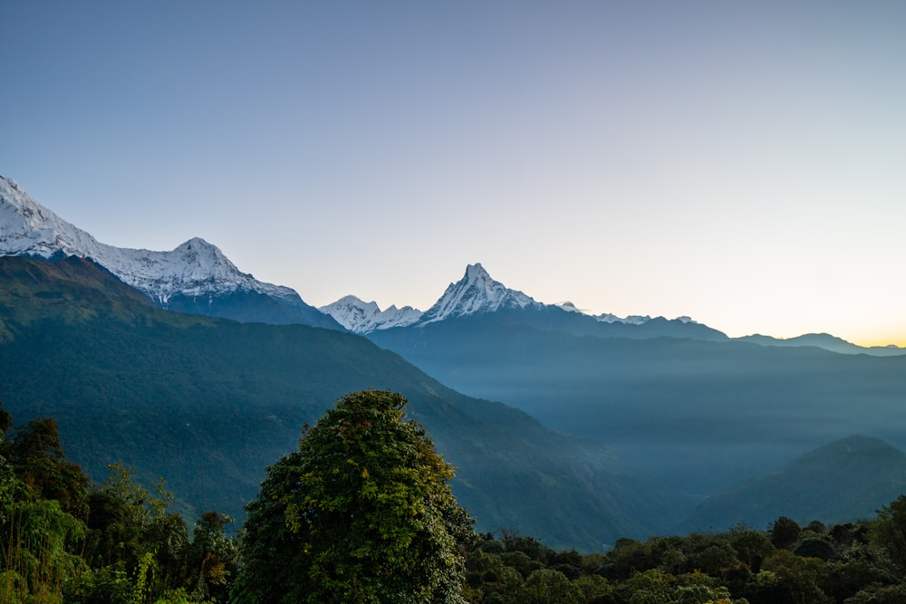 a mountain range with trees