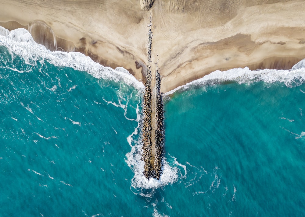 a fish jumping out of the water