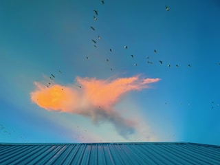 A cloud with a striking orange and pink hue is surrounded by a flock of birds flying in various directions against a vibrant blue sky. The lower part of the image shows a corrugated metal roof, adding a contrast between the natural and man-made elements.