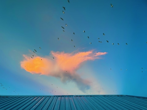 A cloud with a striking orange and pink hue is surrounded by a flock of birds flying in various directions against a vibrant blue sky. The lower part of the image shows a corrugated metal roof, adding a contrast between the natural and man-made elements.
