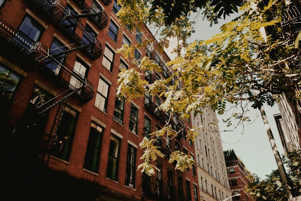 a building with trees in front of it