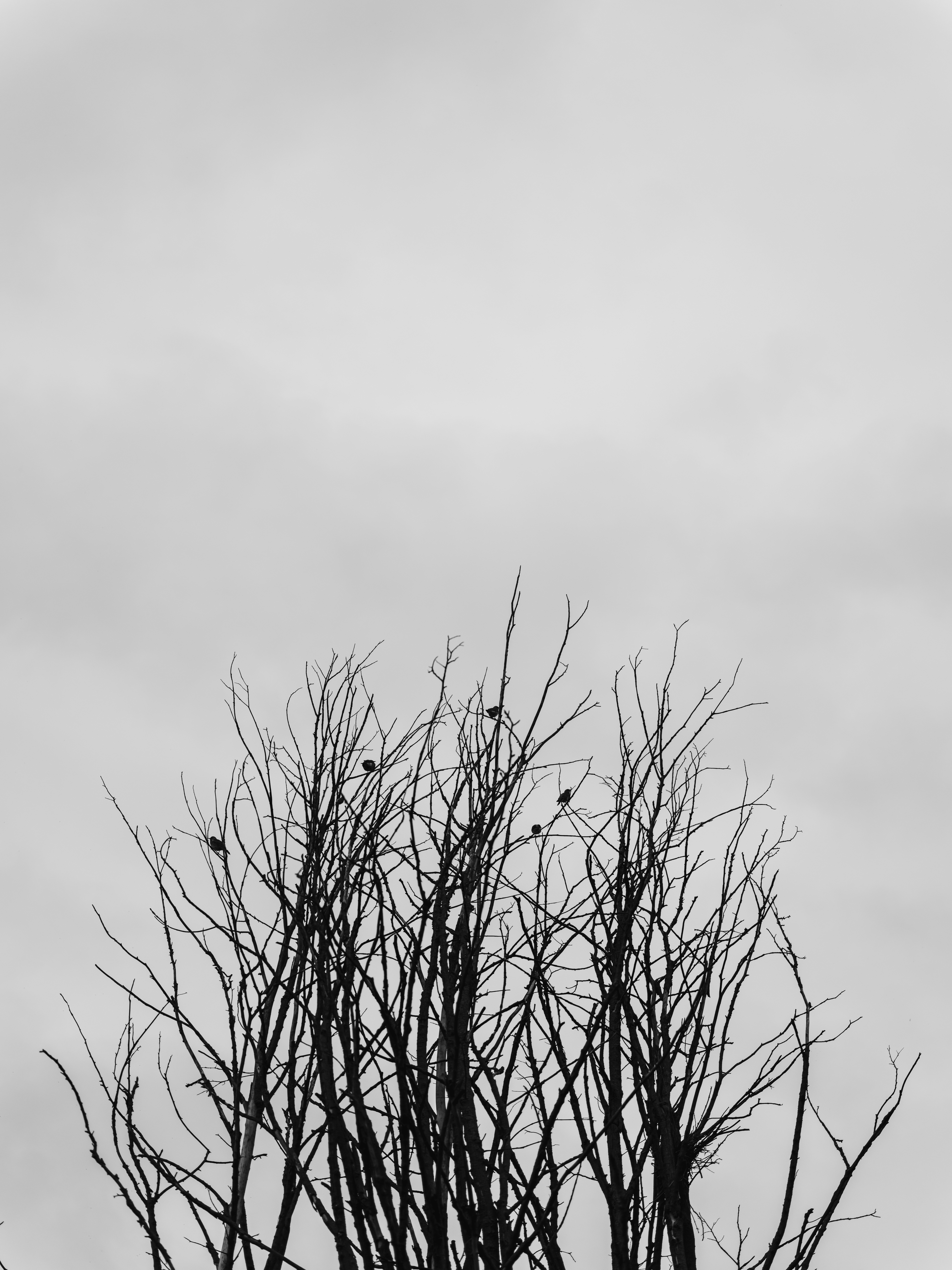 Photo by egorkomarov