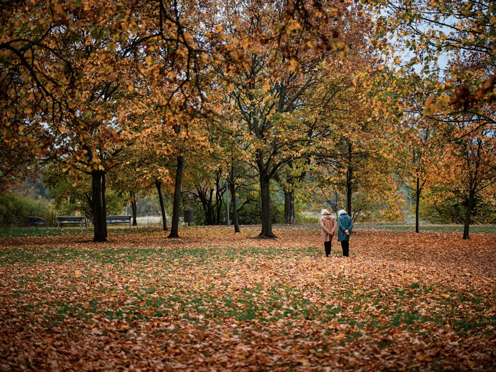 a couple walking in a park with Green Park in the background
