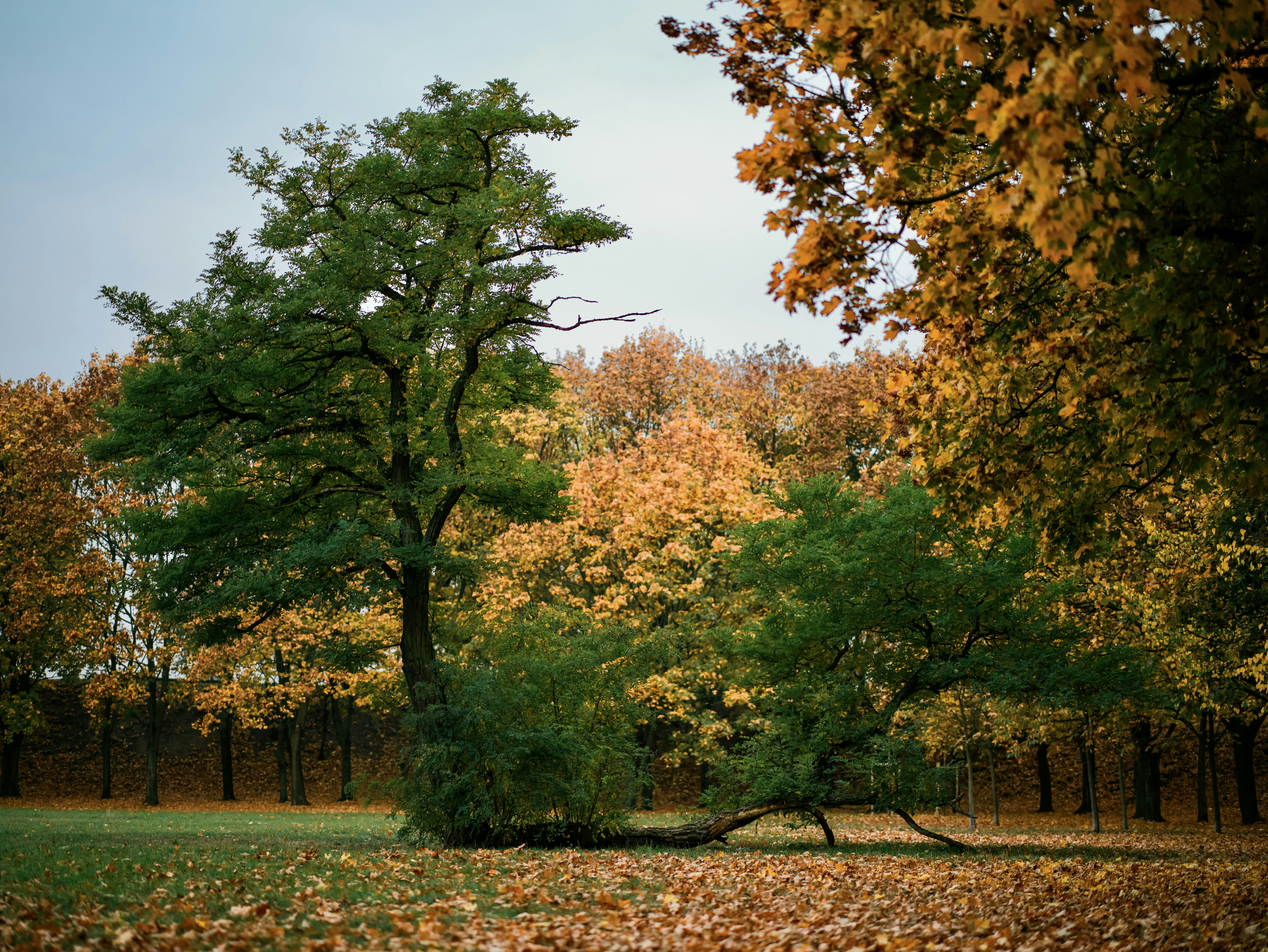 Photo by egorkomarov