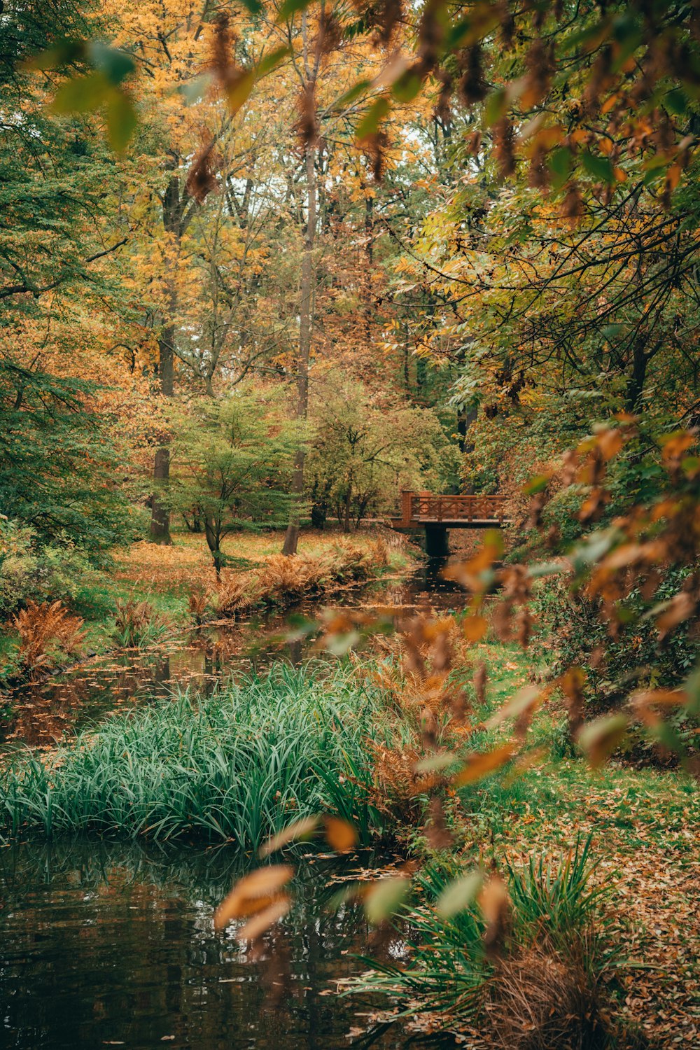 a small bridge over a river