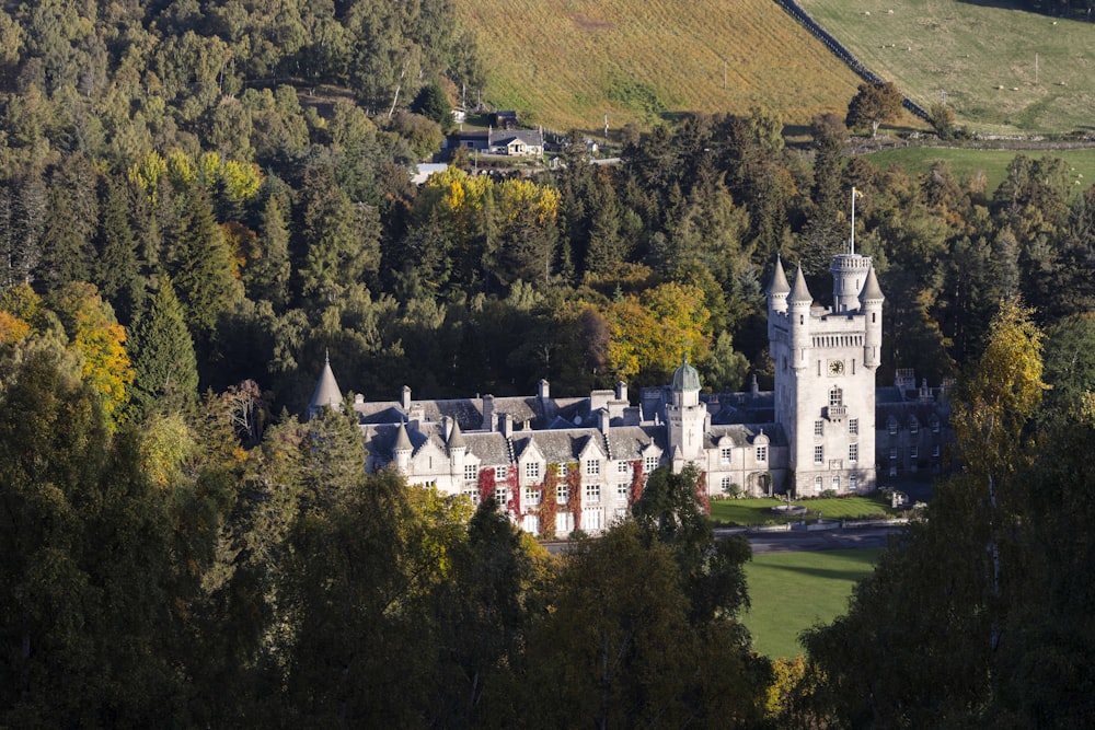 a large white castle surrounded by trees