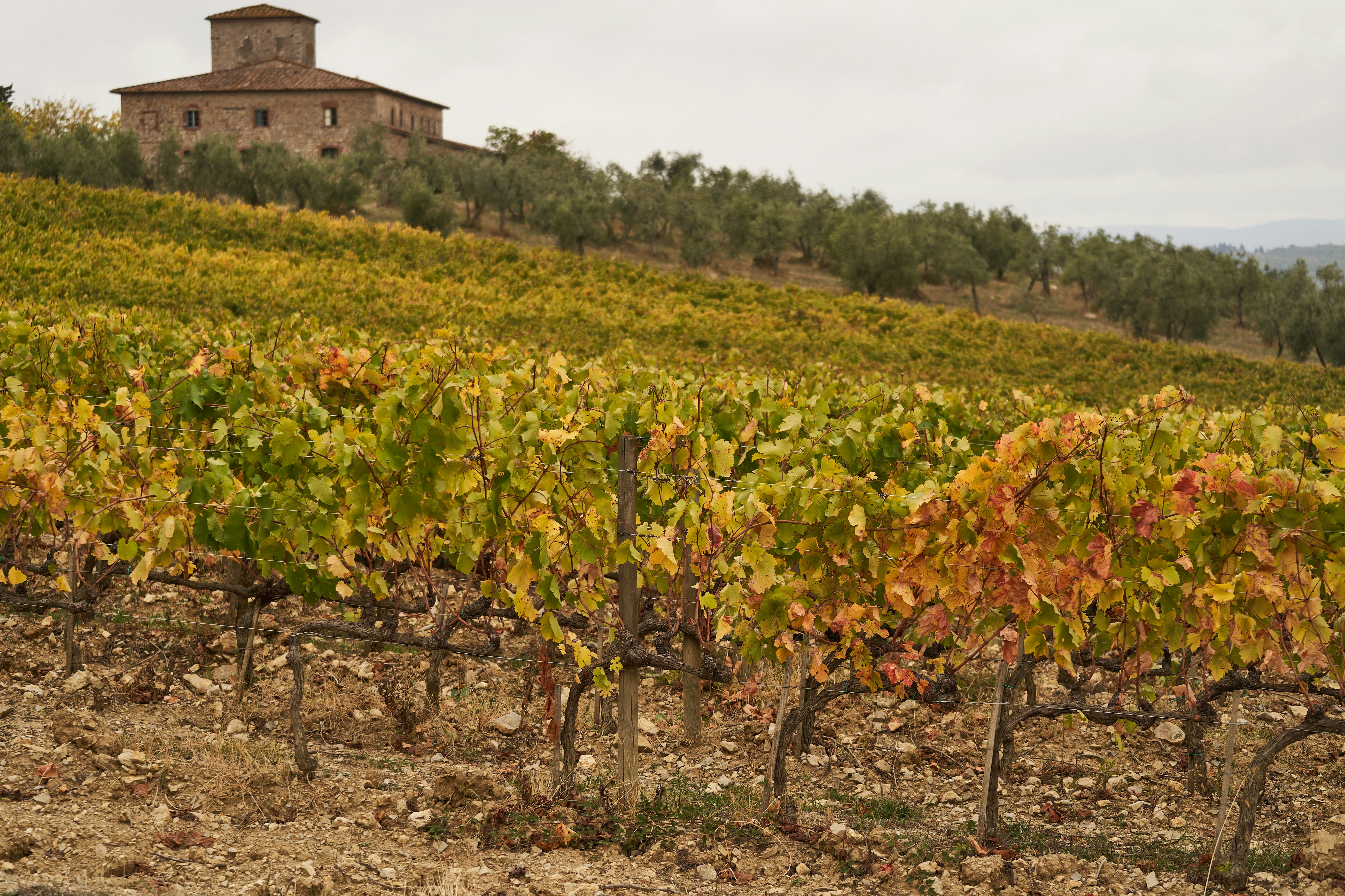 Photo by wolfgang_hasselmann