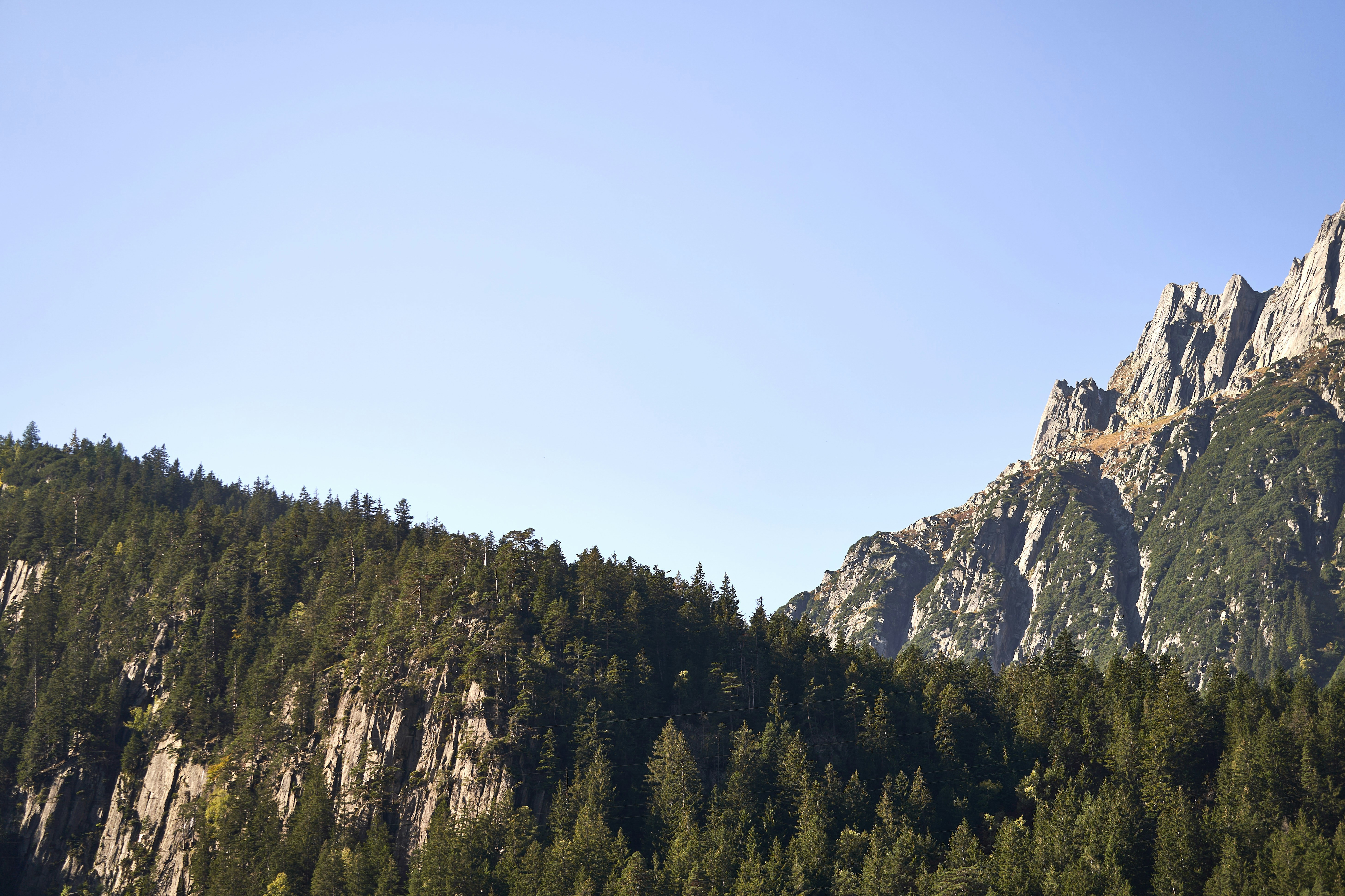 Photo by wolfgang_hasselmann