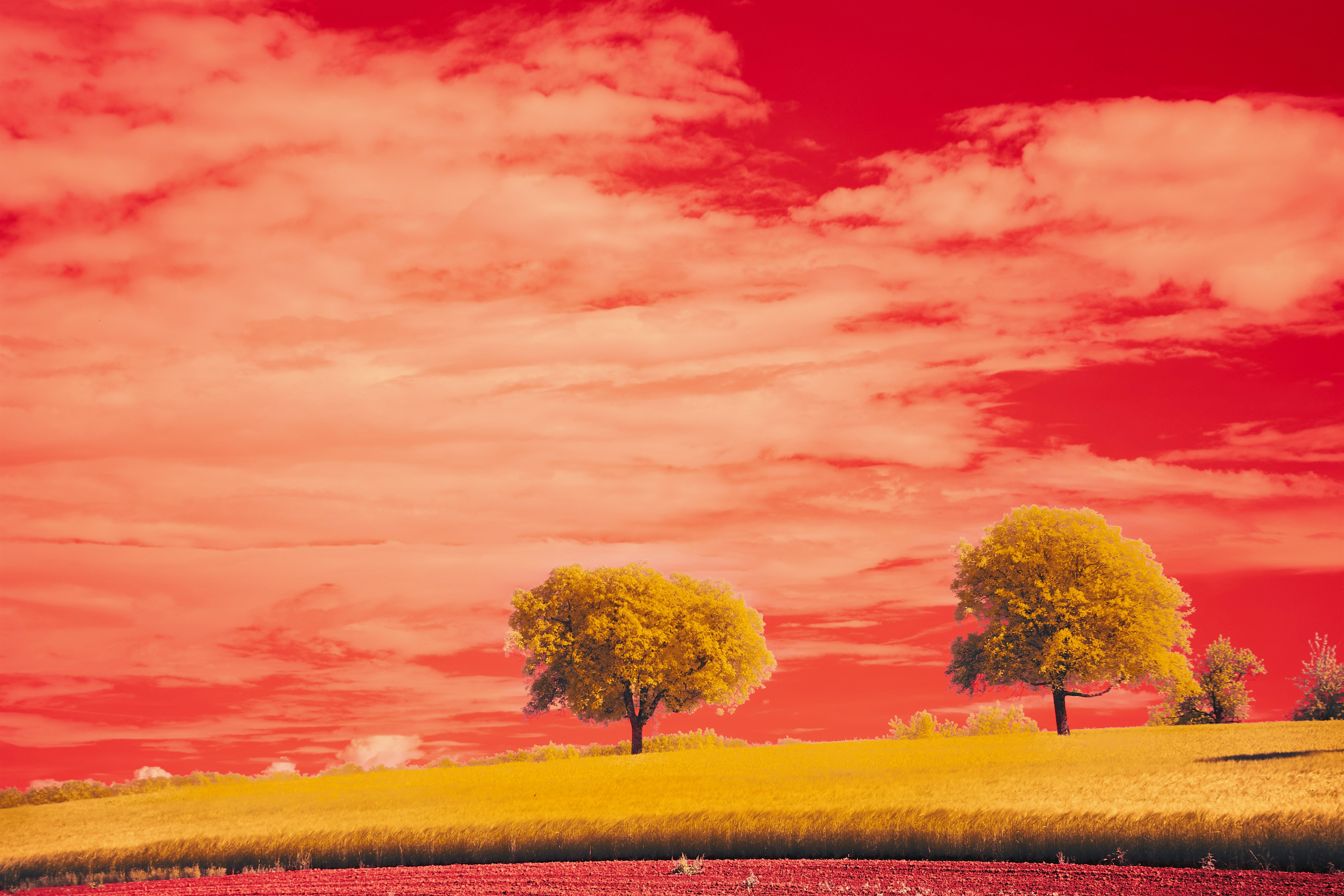 Photo by wolfgang_hasselmann