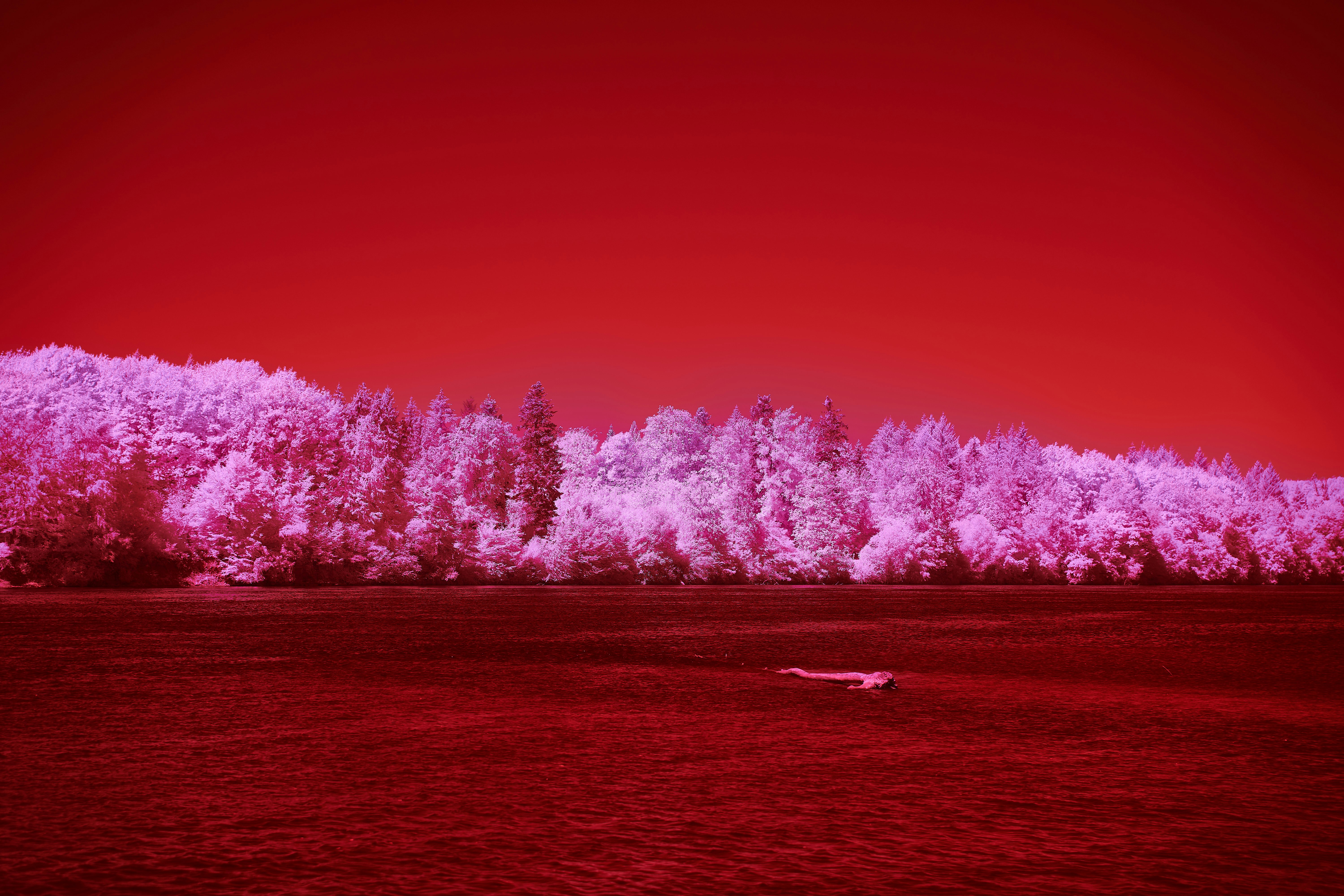 Photo by wolfgang_hasselmann