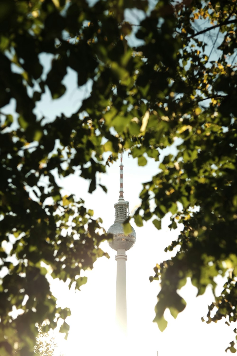 a tall tower with a tree in the background