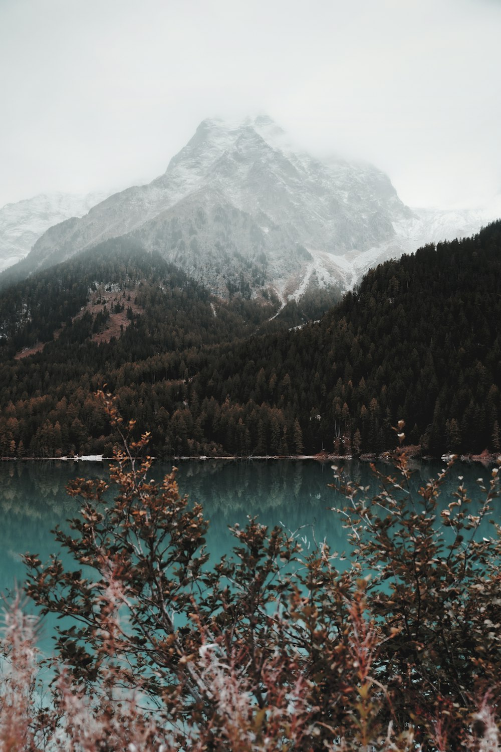 a mountain with trees and water below