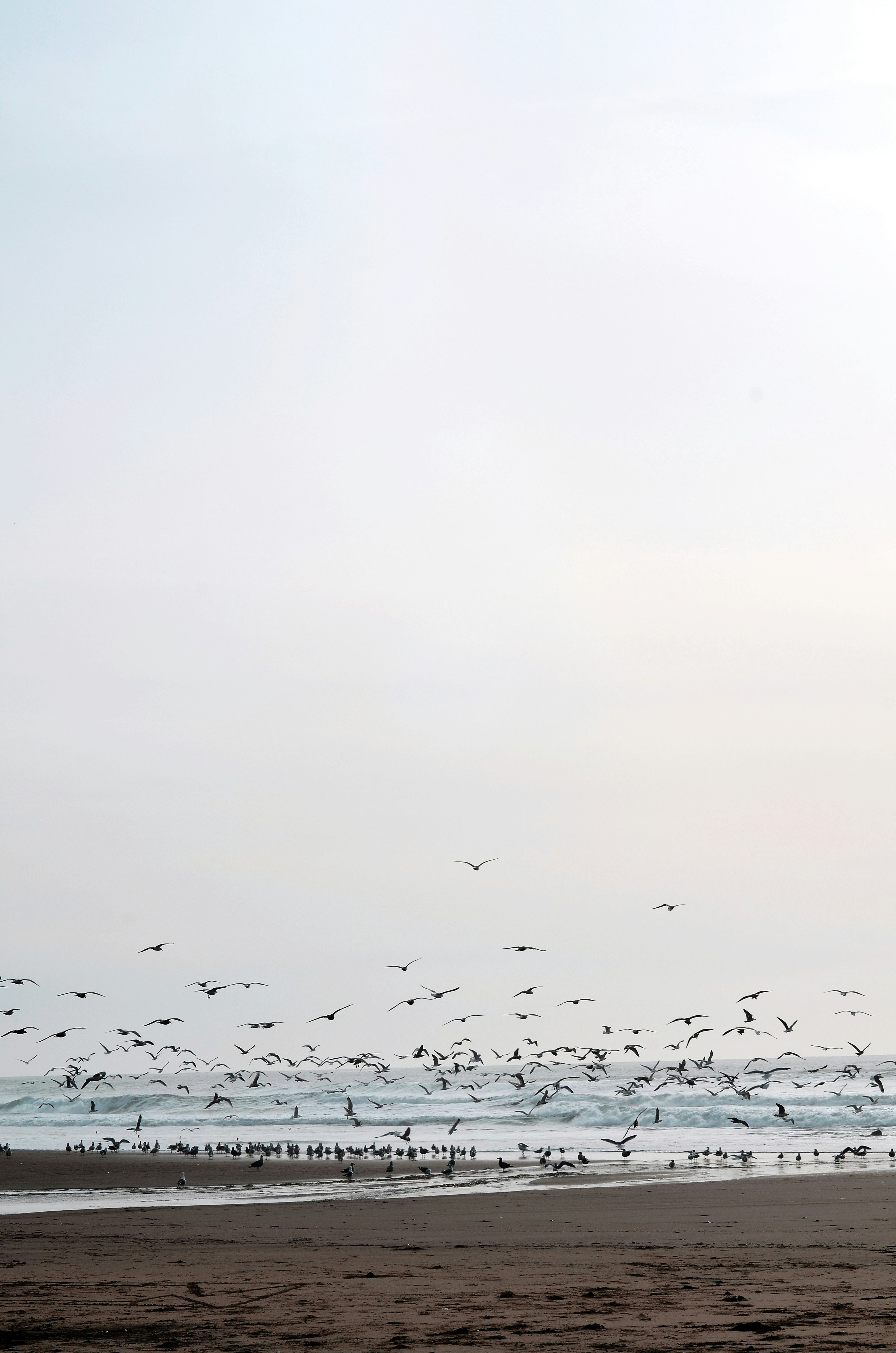 Photo by another_passenger717