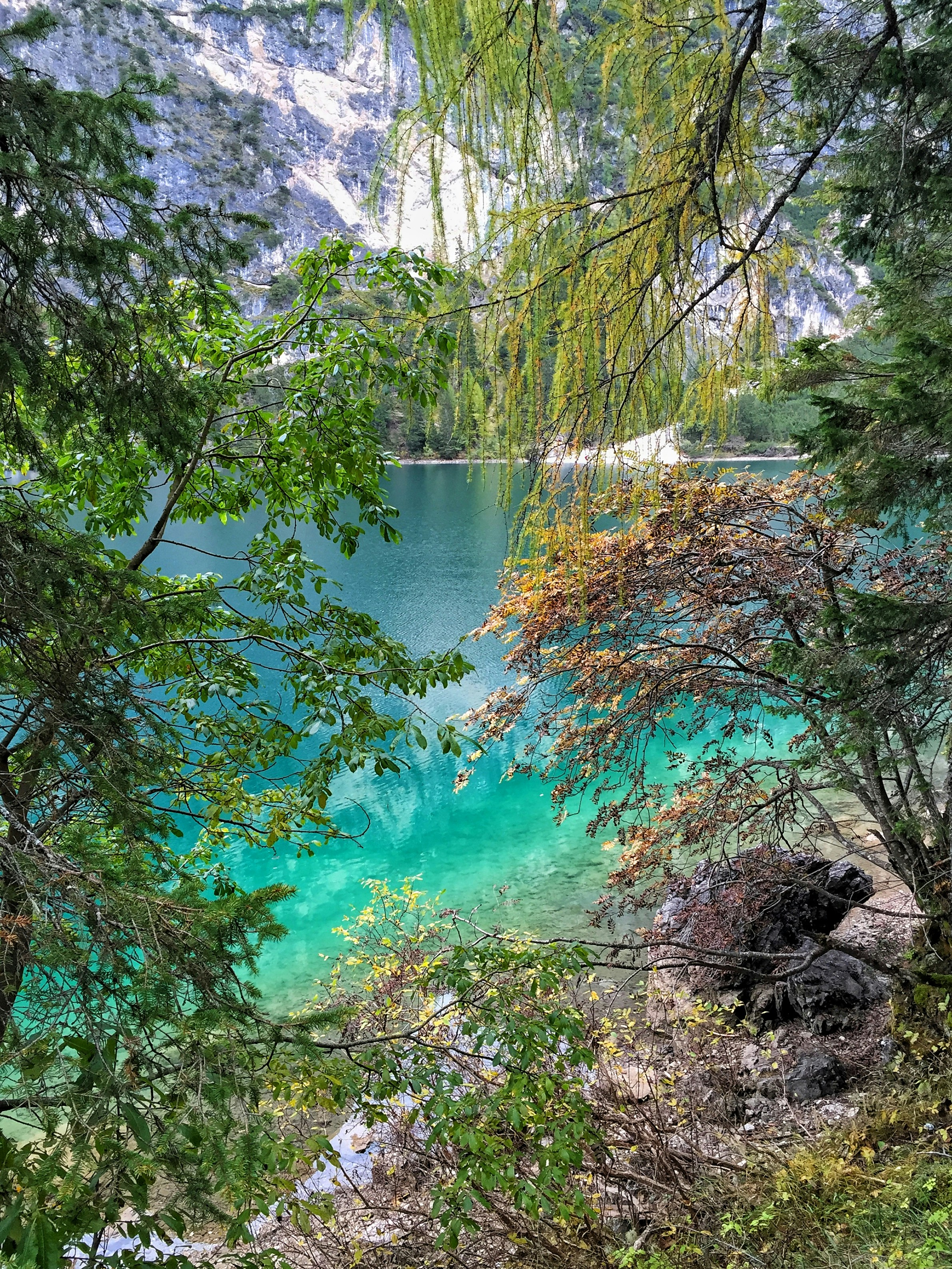 Photo by pedrino5_official