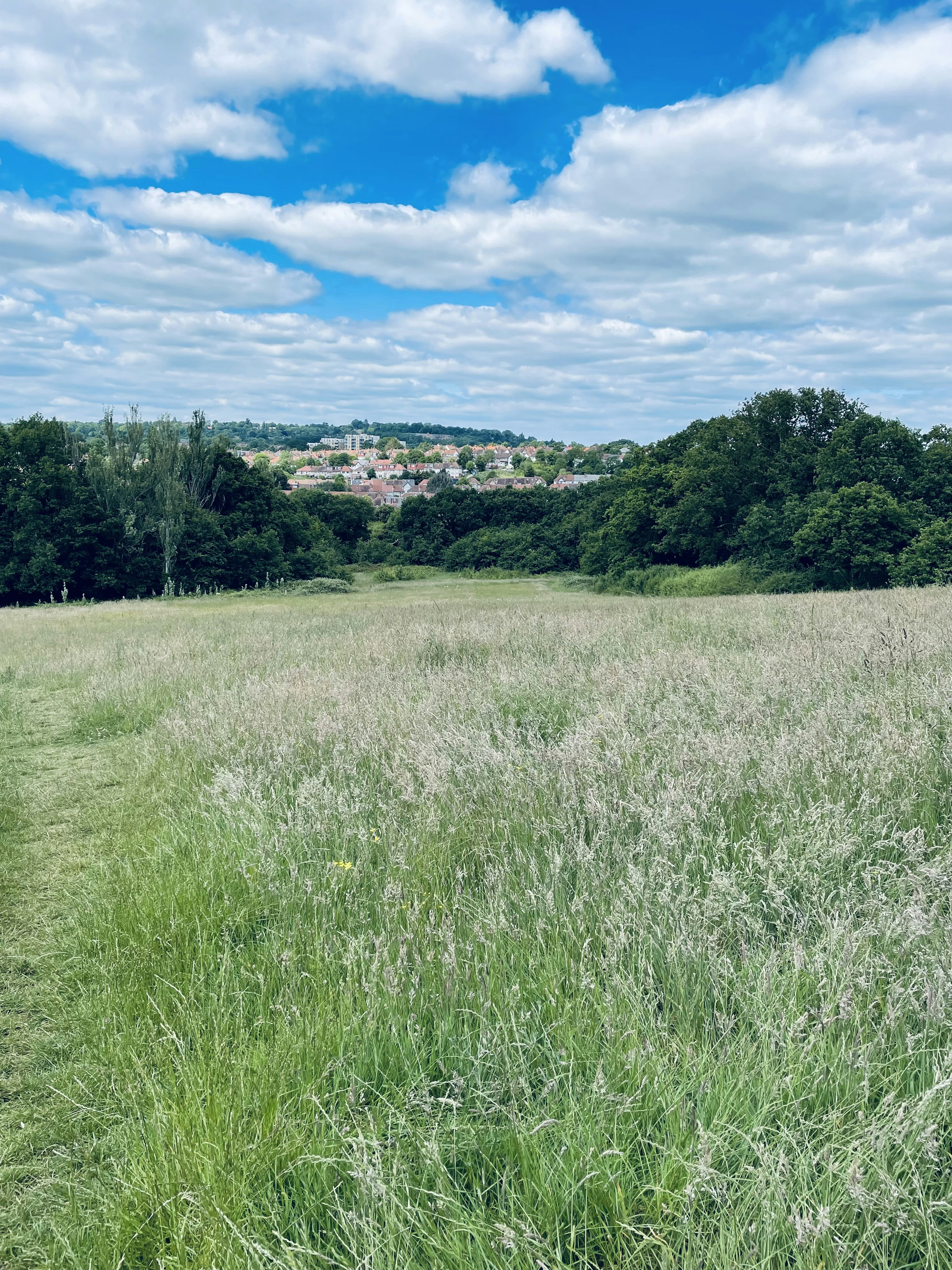 Photo by susie_exwhyzed