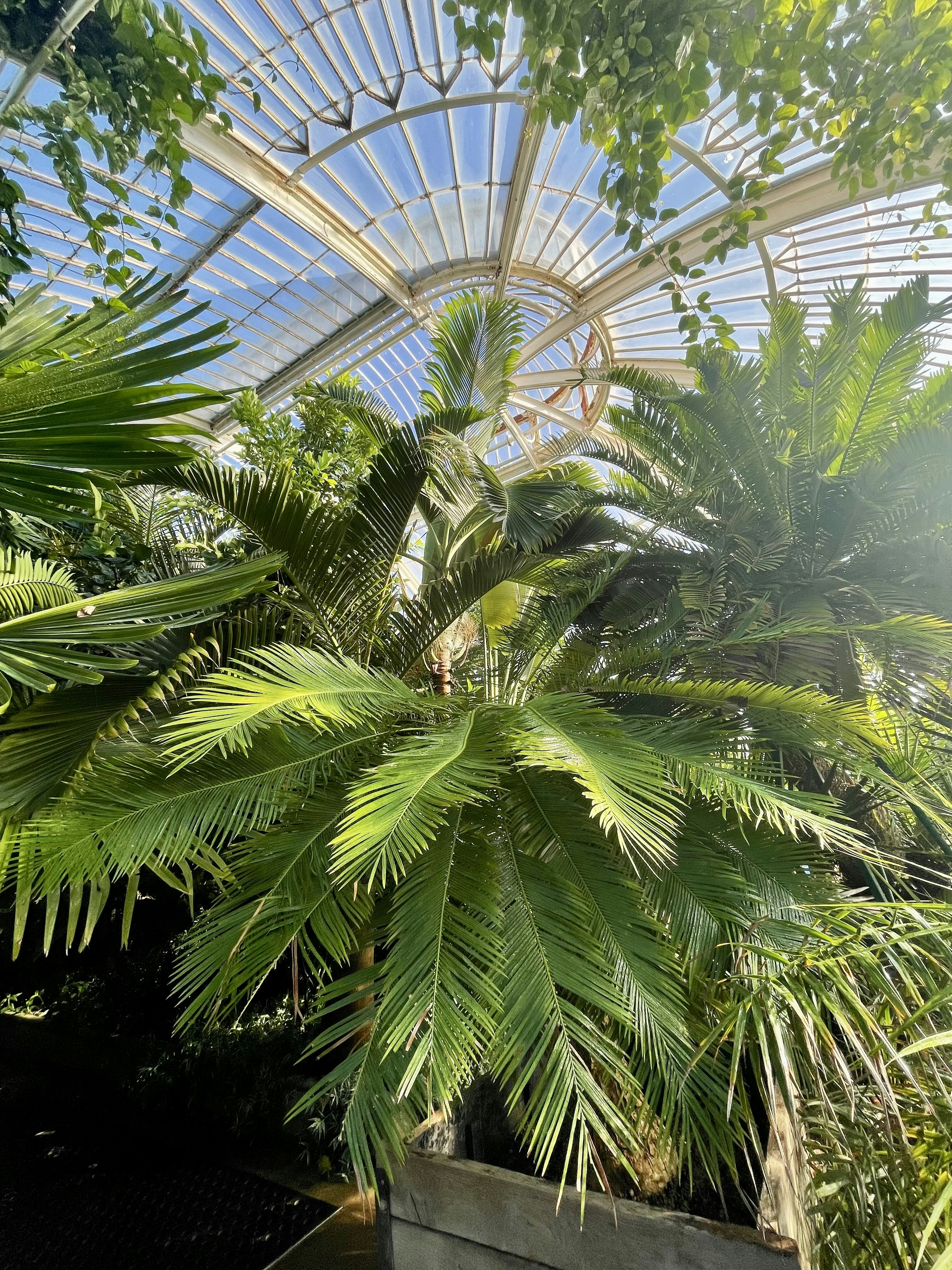 Photo by susie_exwhyzed