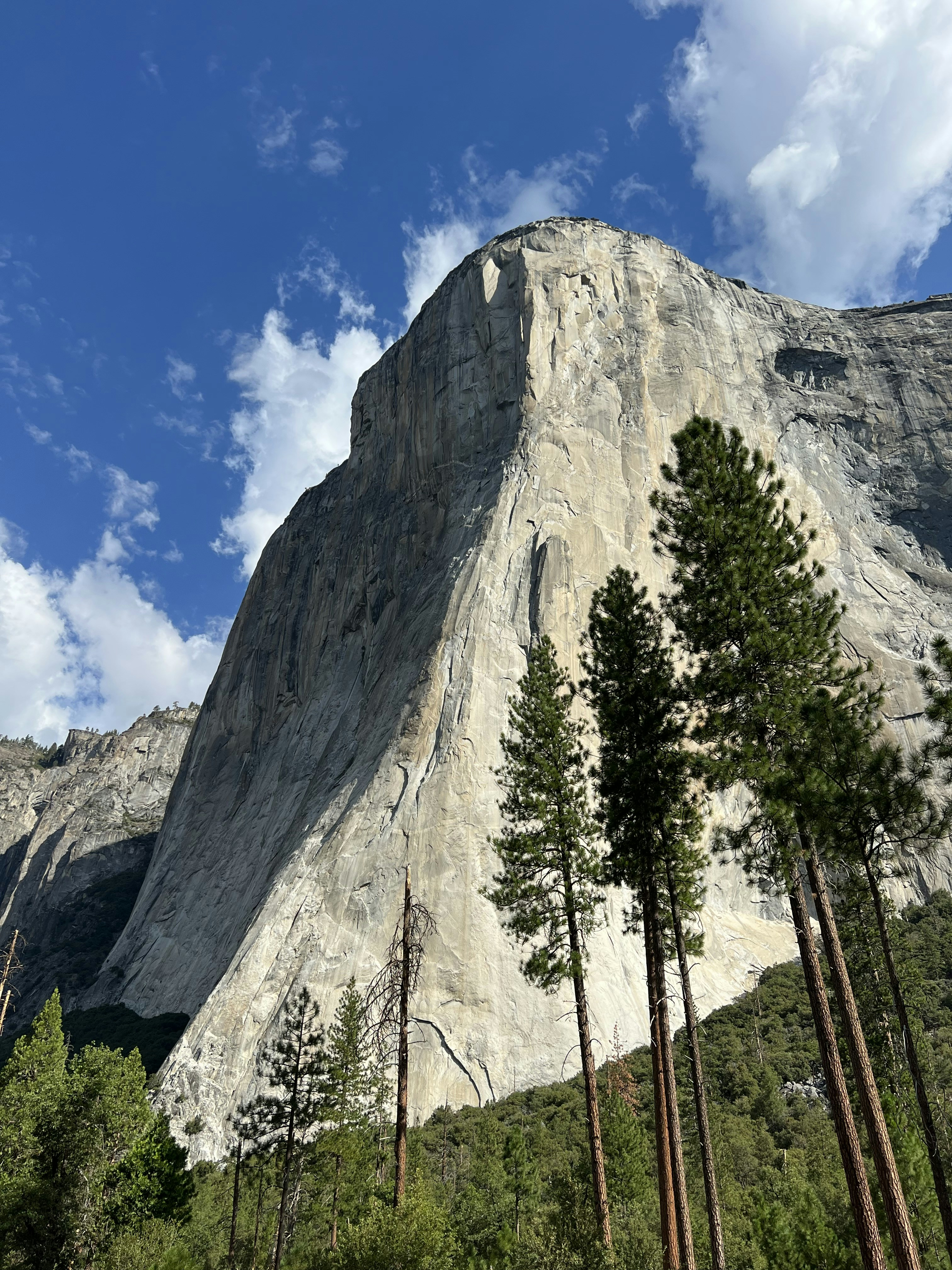 Photo by susie_exwhyzed