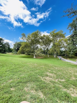 A lush green park with expansive grassy areas is dotted with tall trees under a vibrant blue sky with scattered white clouds. A pathway winds through the park, bordered by benches and trash bins. The scene is tranquil and inviting, suitable for relaxing or walking.