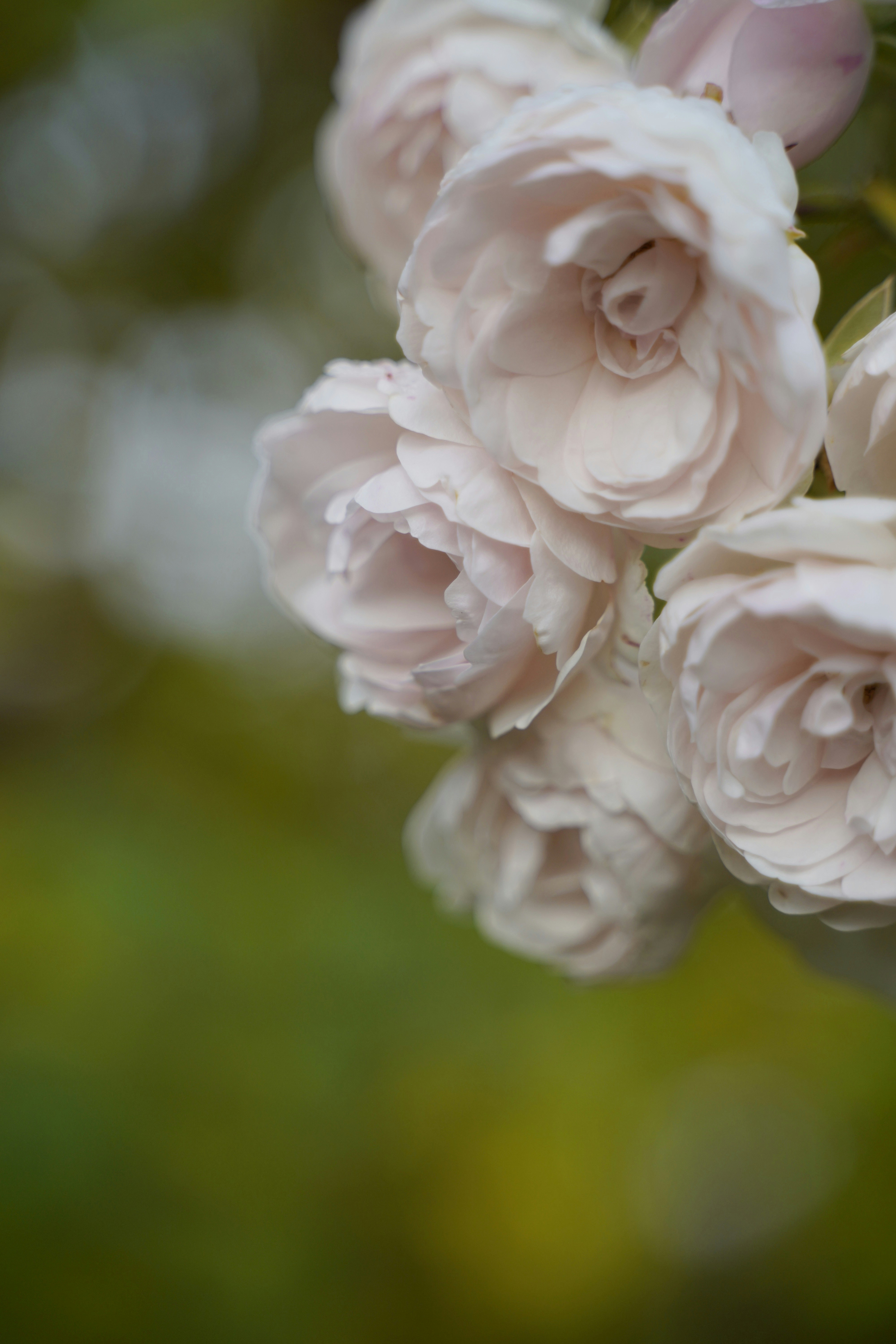 Photo by kuhantilope