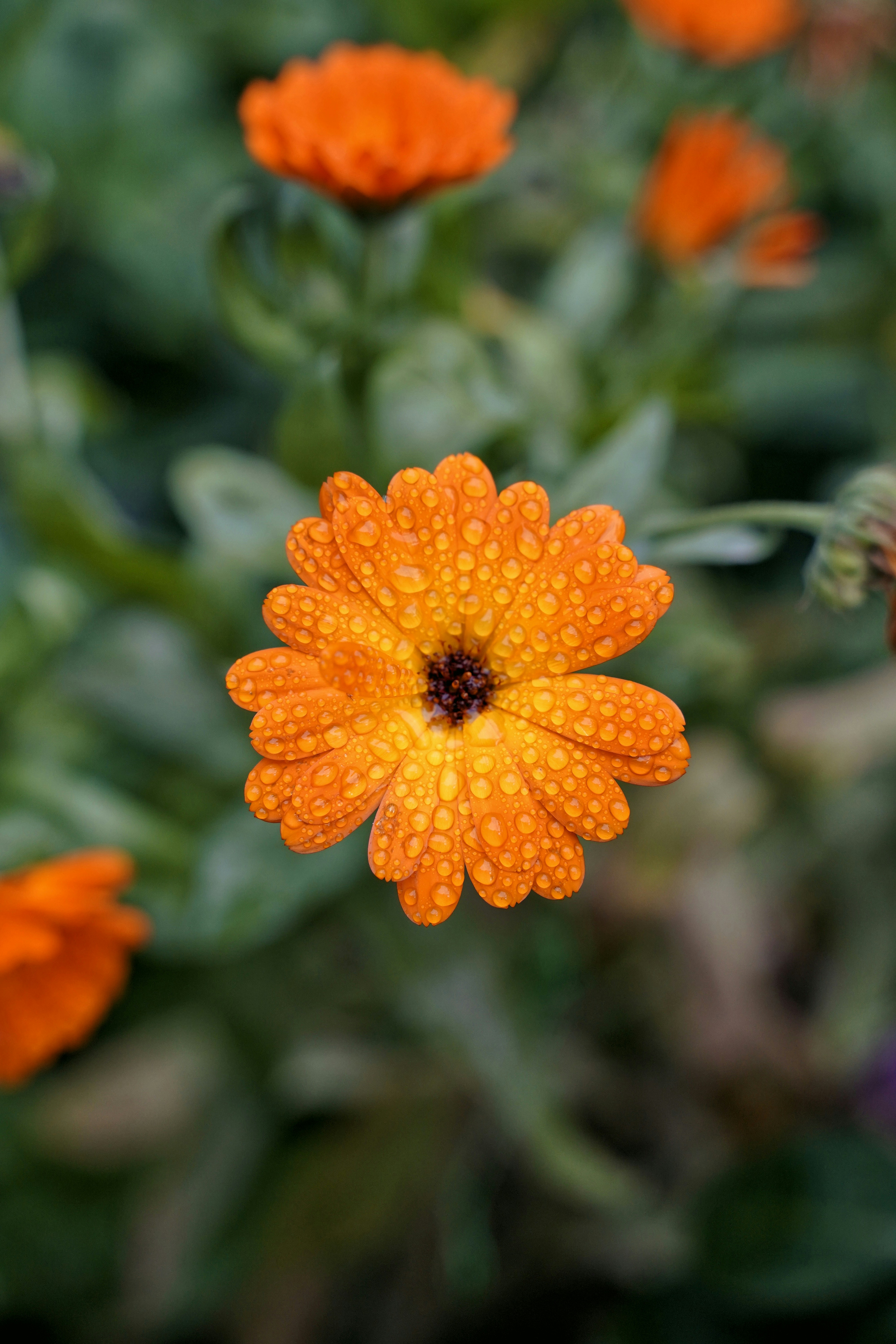 Photo by kuhantilope