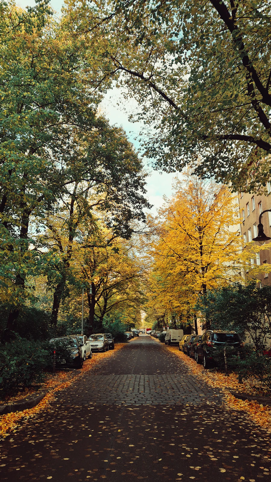Elm Park street view
